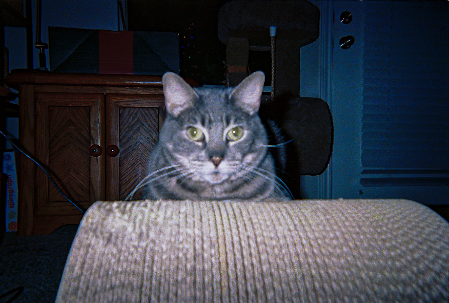 Shot On: Kodak Disposable 