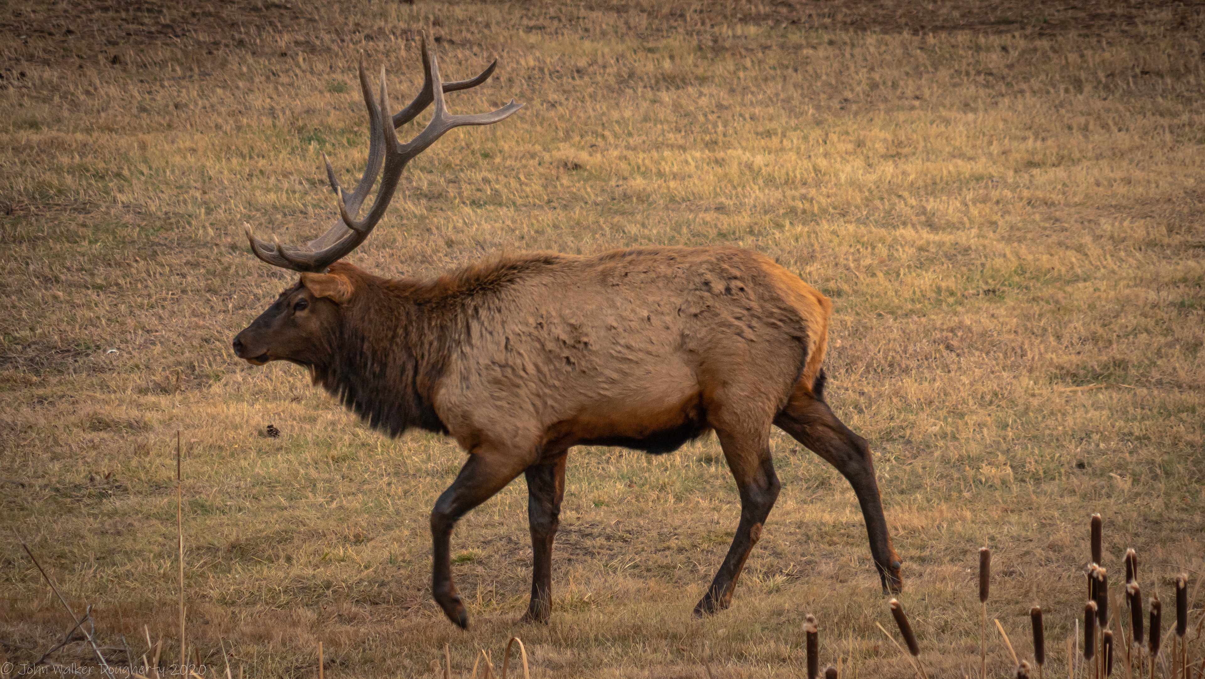 Shot on: Sony A7RIII