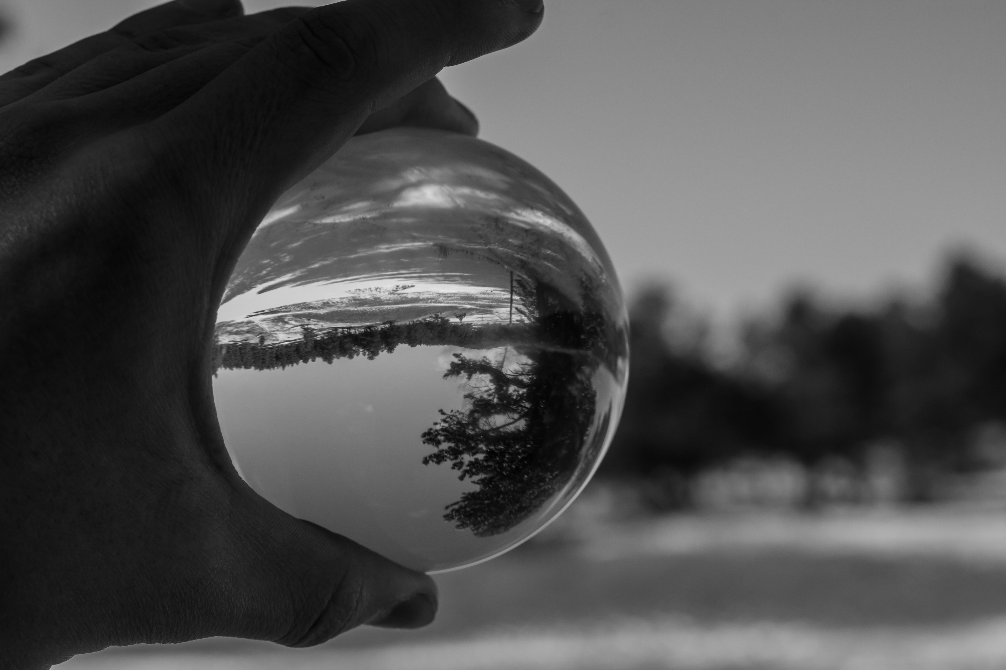Shot on: Canon 50D