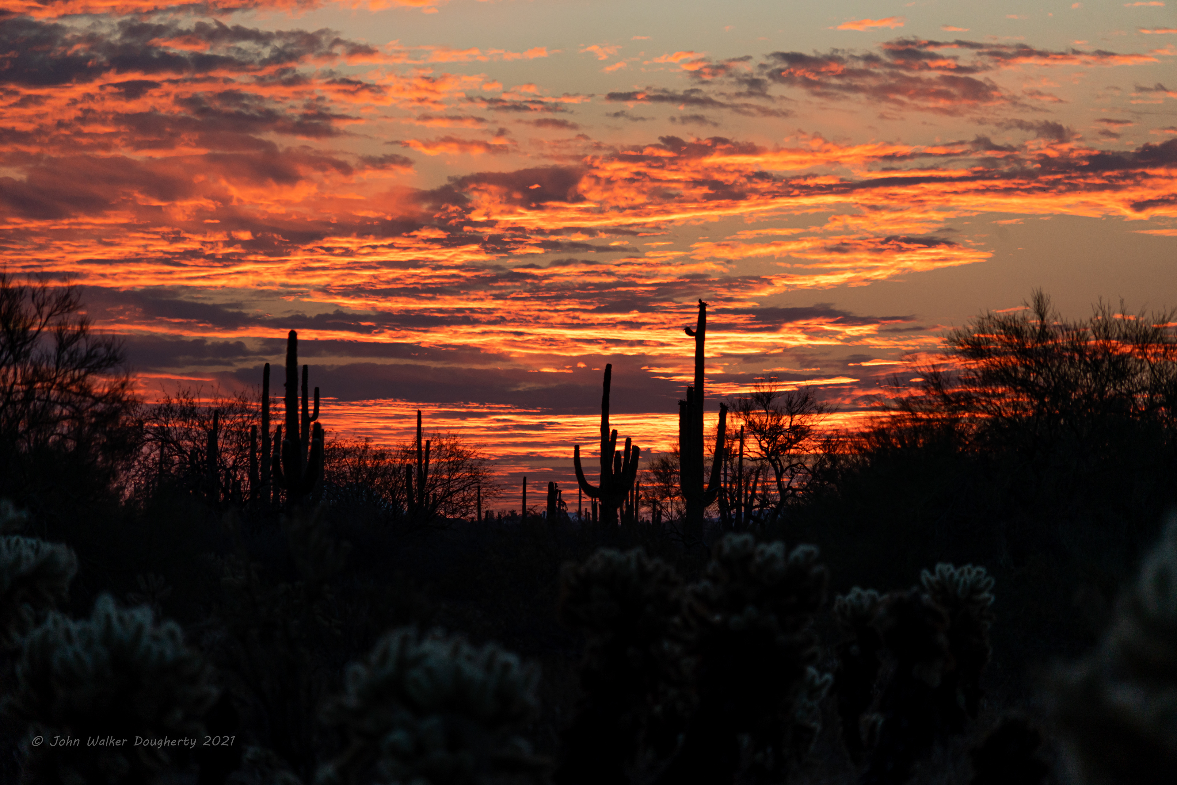 Shot on: Sony A7RIII