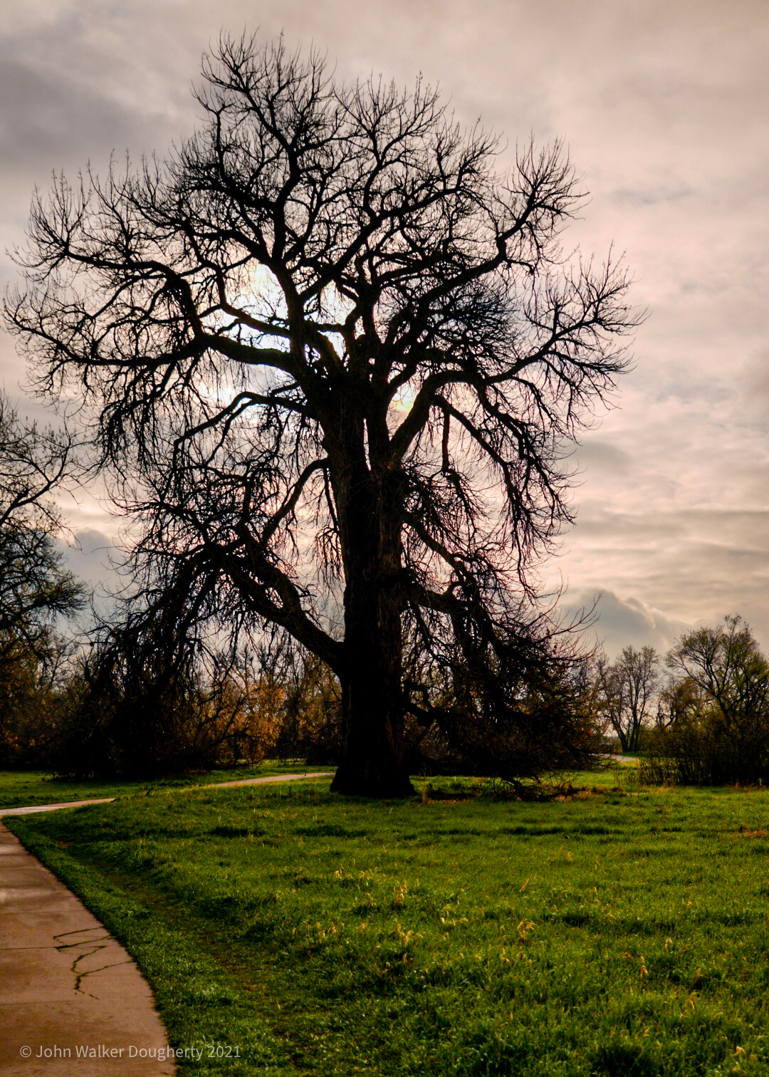 Shot on: Sony A7RIII