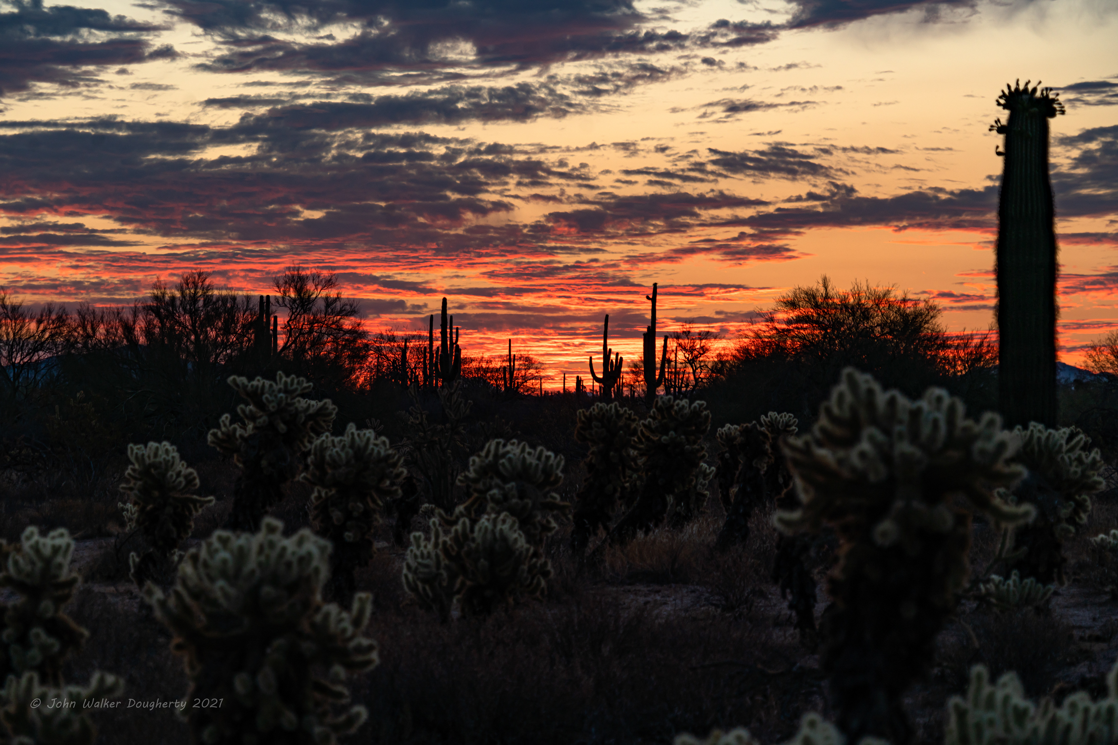 Shot on: Sony A7RIII