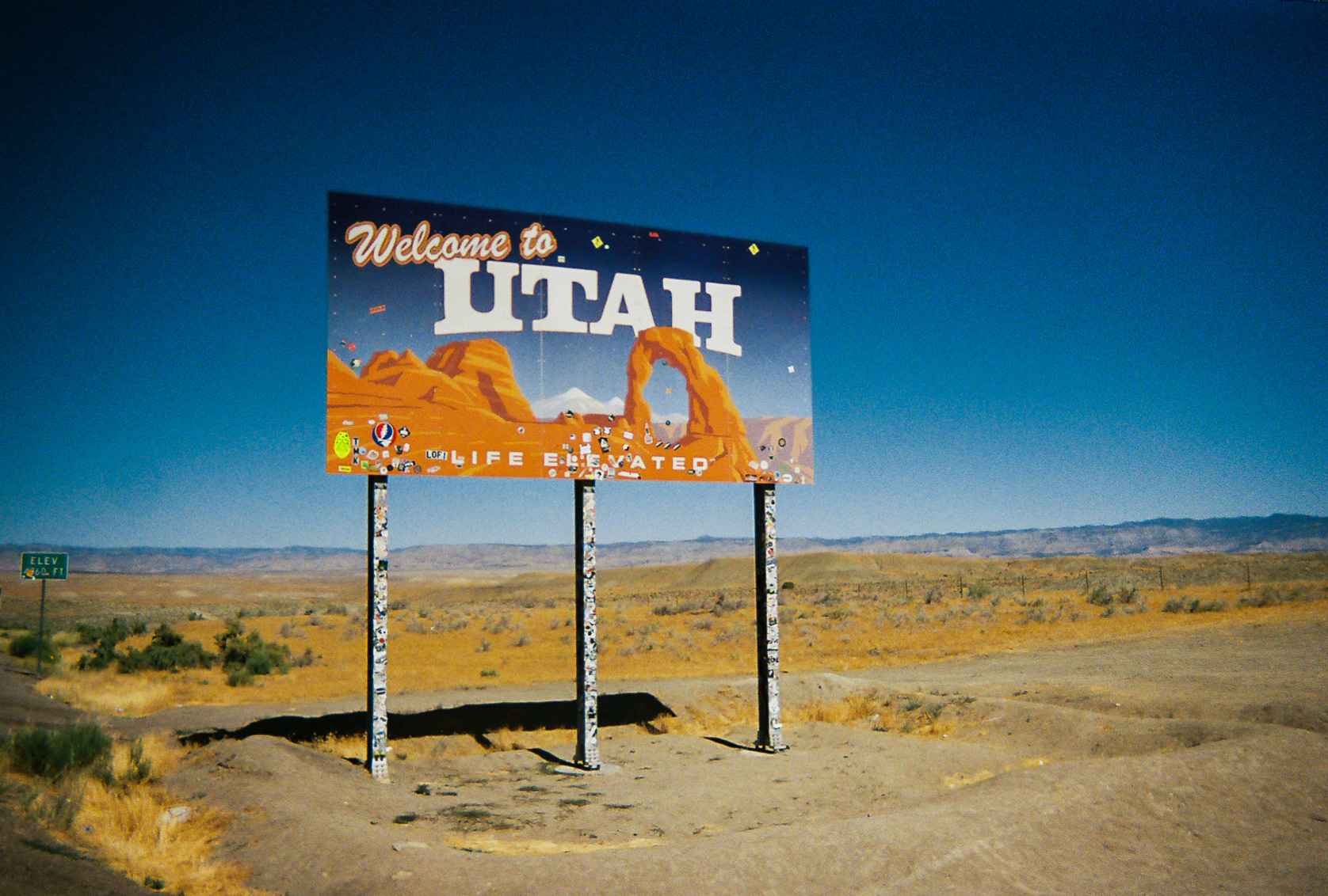 Shot On: Kodak Disposable 