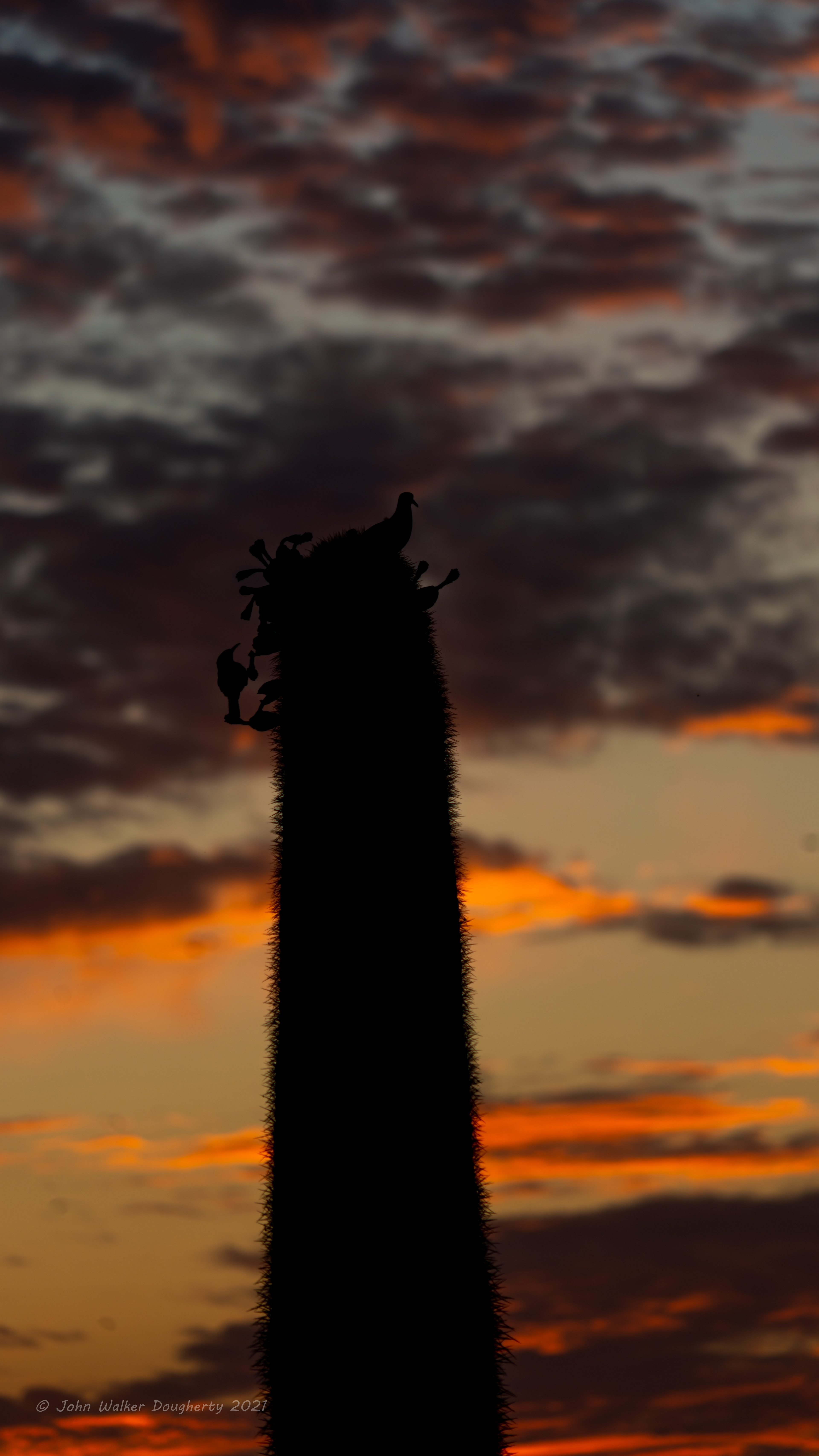 Shot on: Sony A7RIII