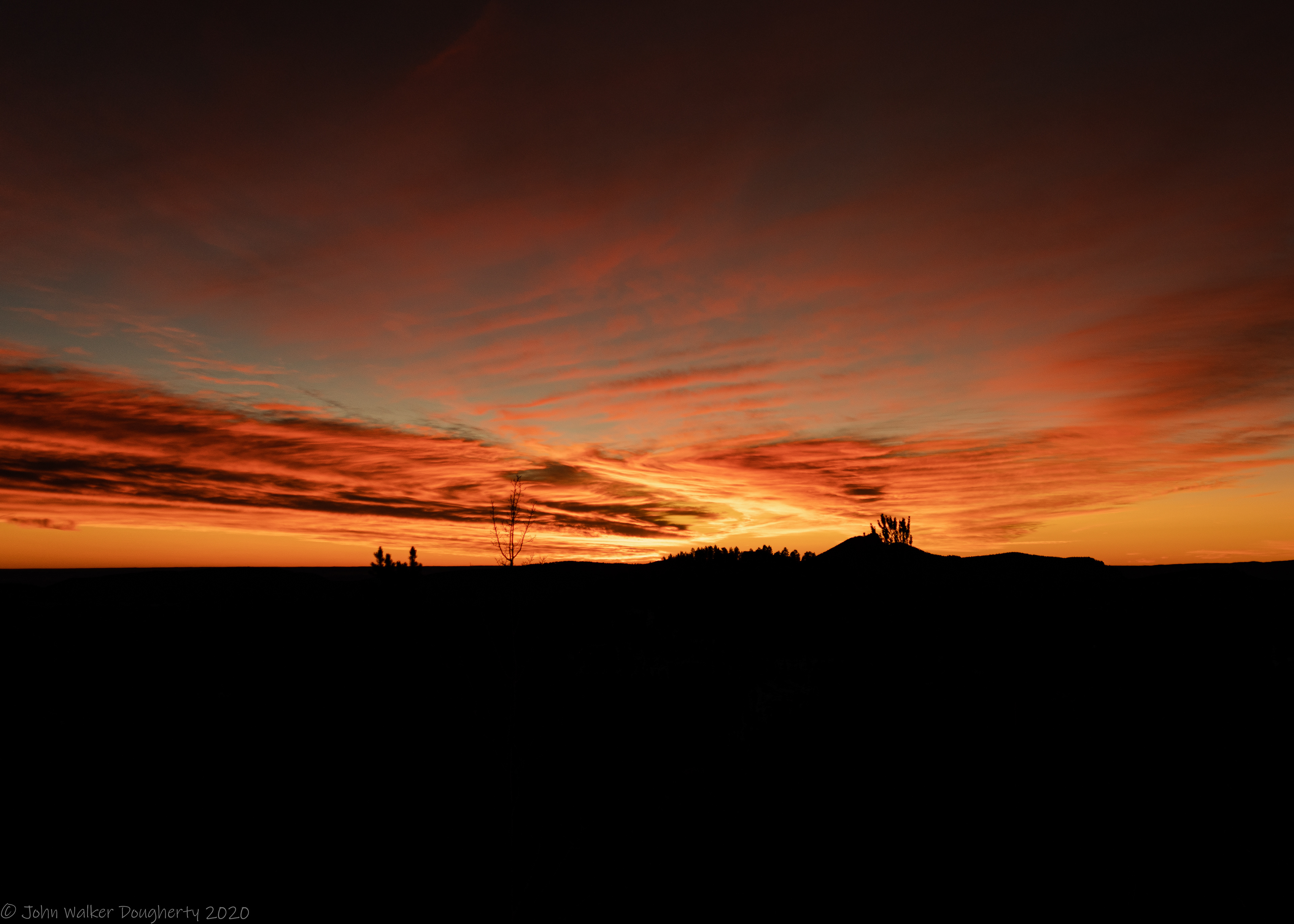 Shot on: Sony A7RIII