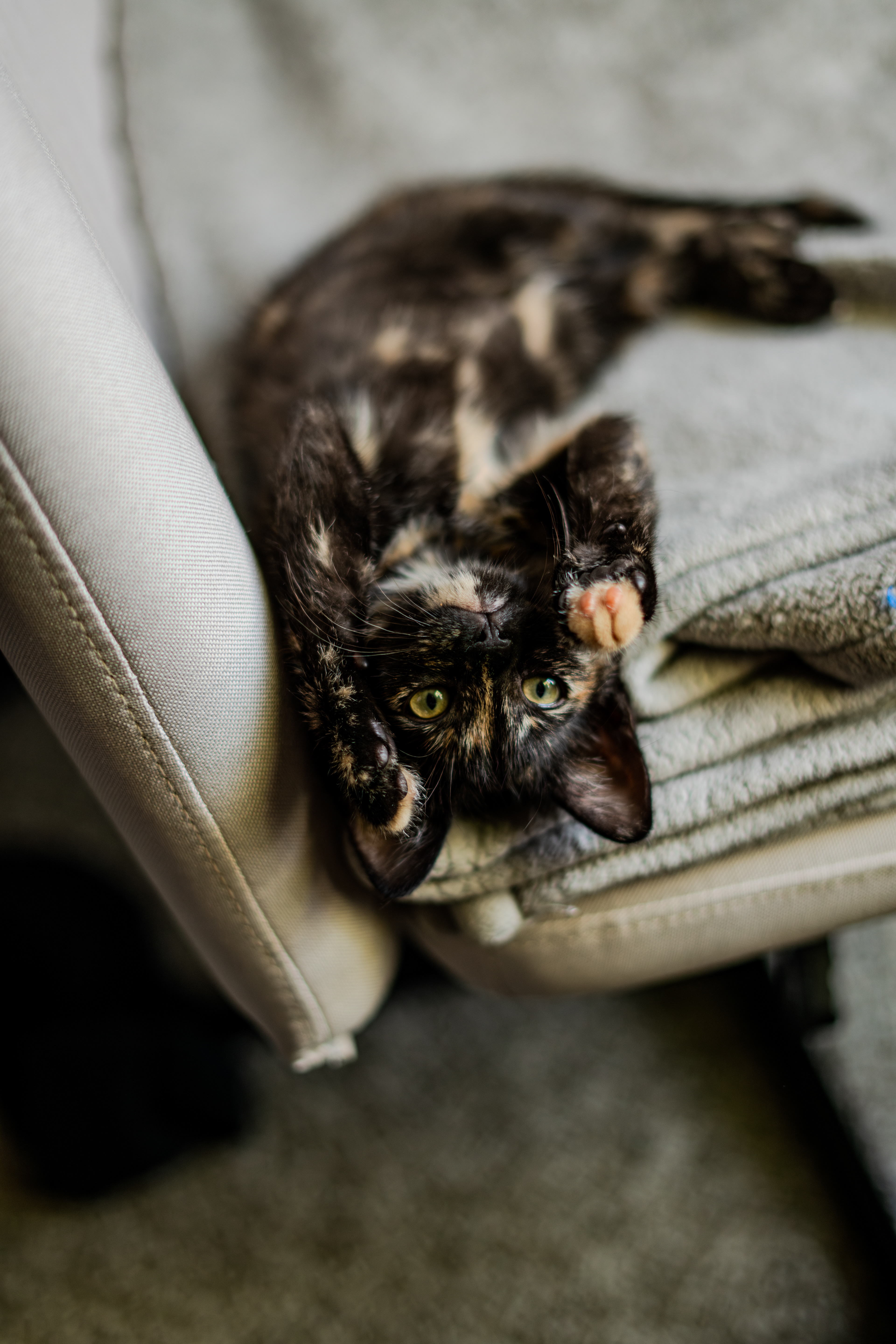 Shot on: Sony A7RIII