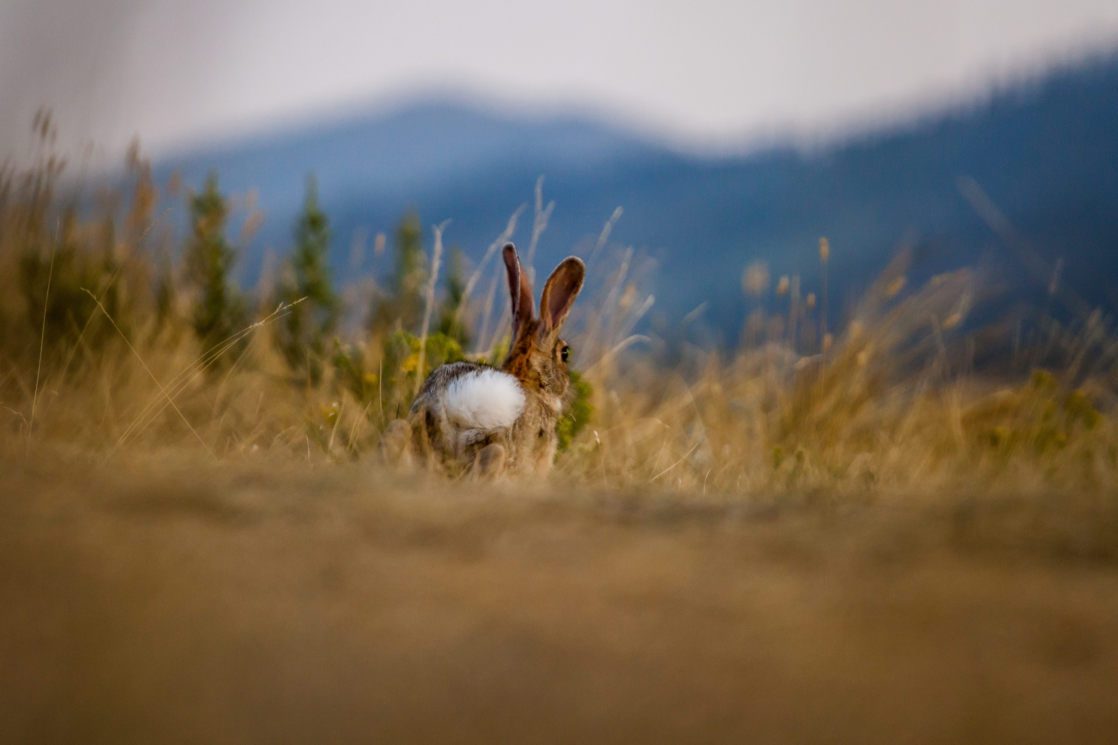 Shot on: Canon 50D