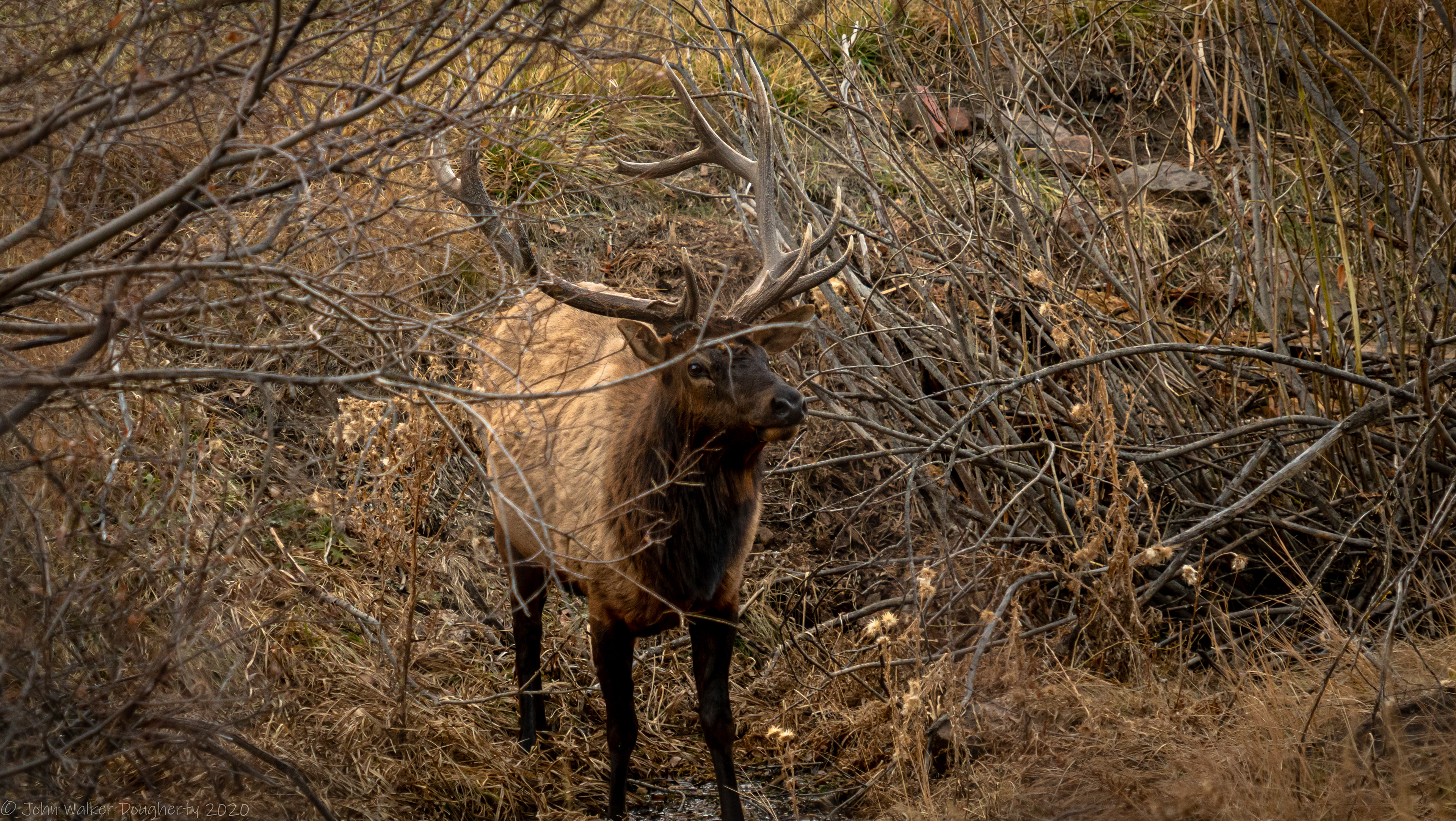 Shot on: Sony A7RIII