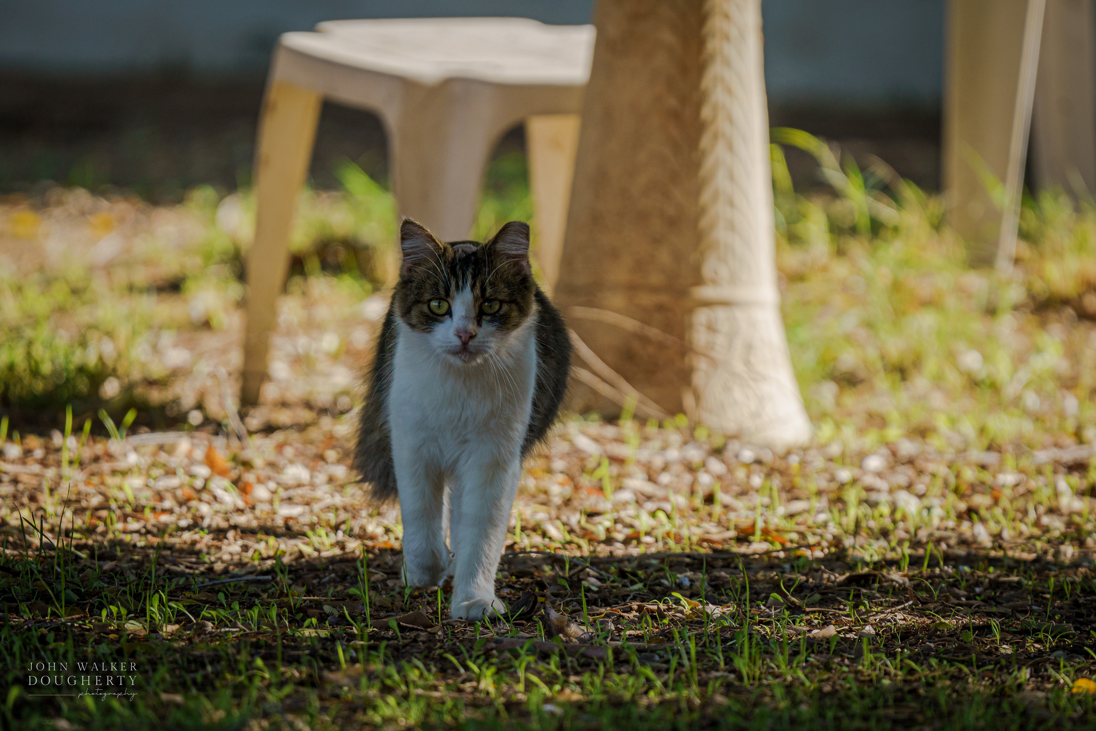 Shot On: Sony A7RIII