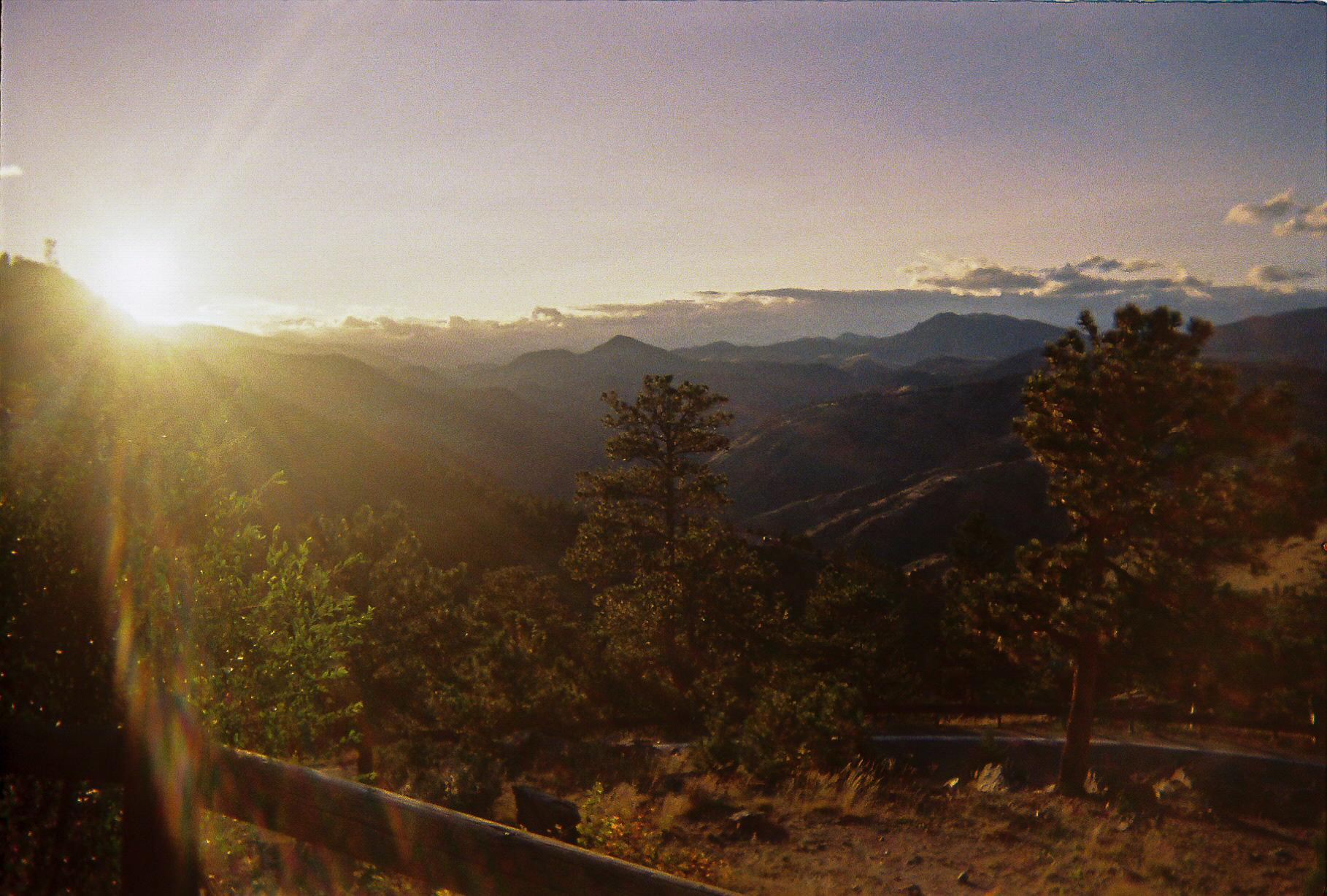 Shot On: Kodak Disposable 