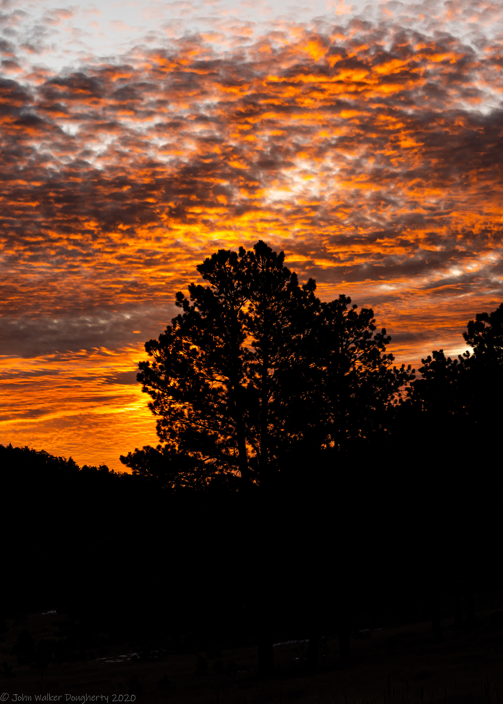 Shot on: Sony A7RIII