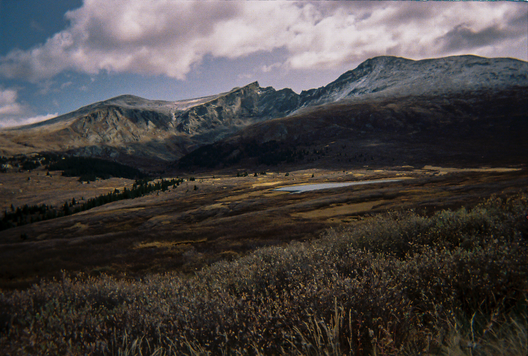 Shot On: Kodak Disposable 