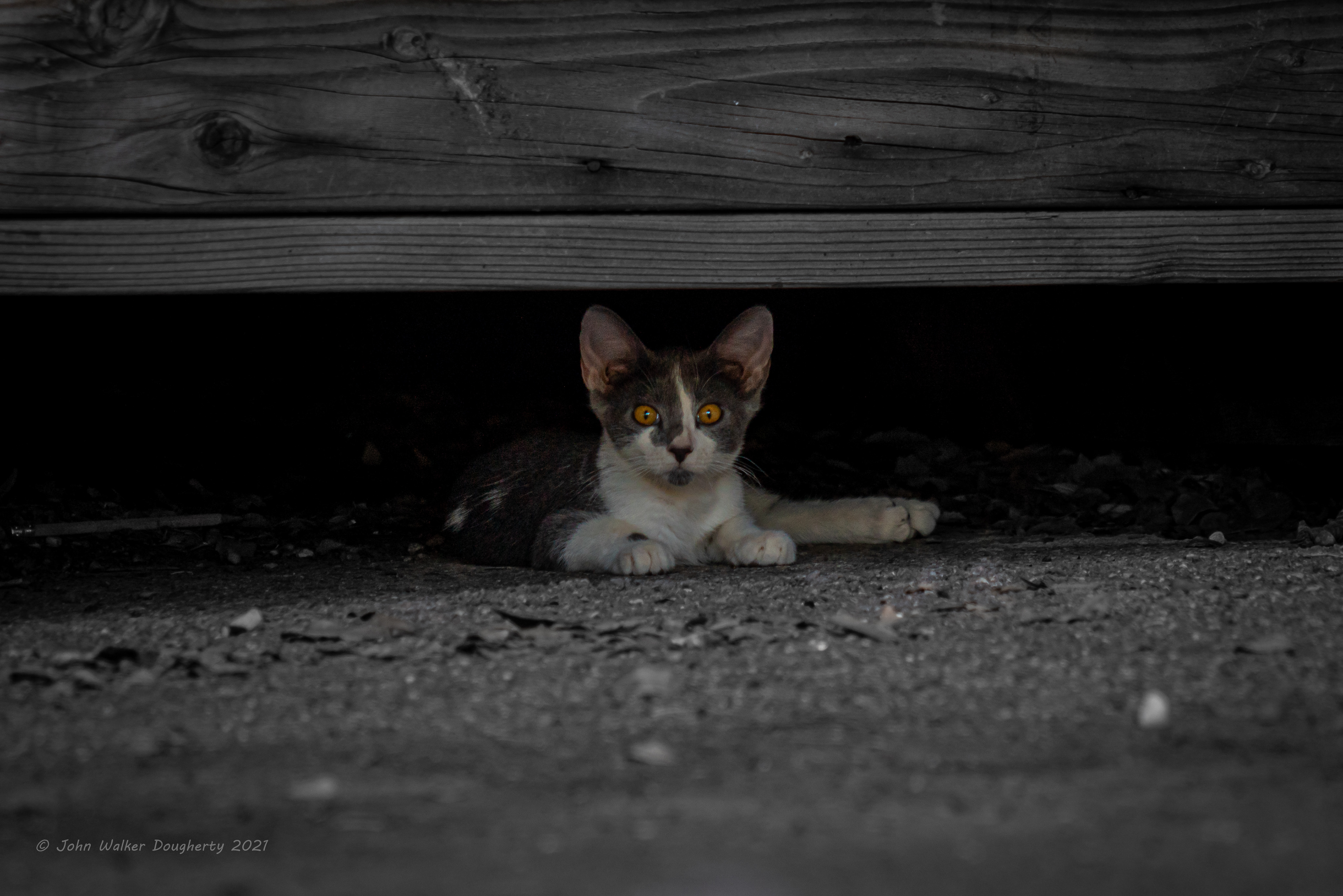 Shot on: Sony A7RIII