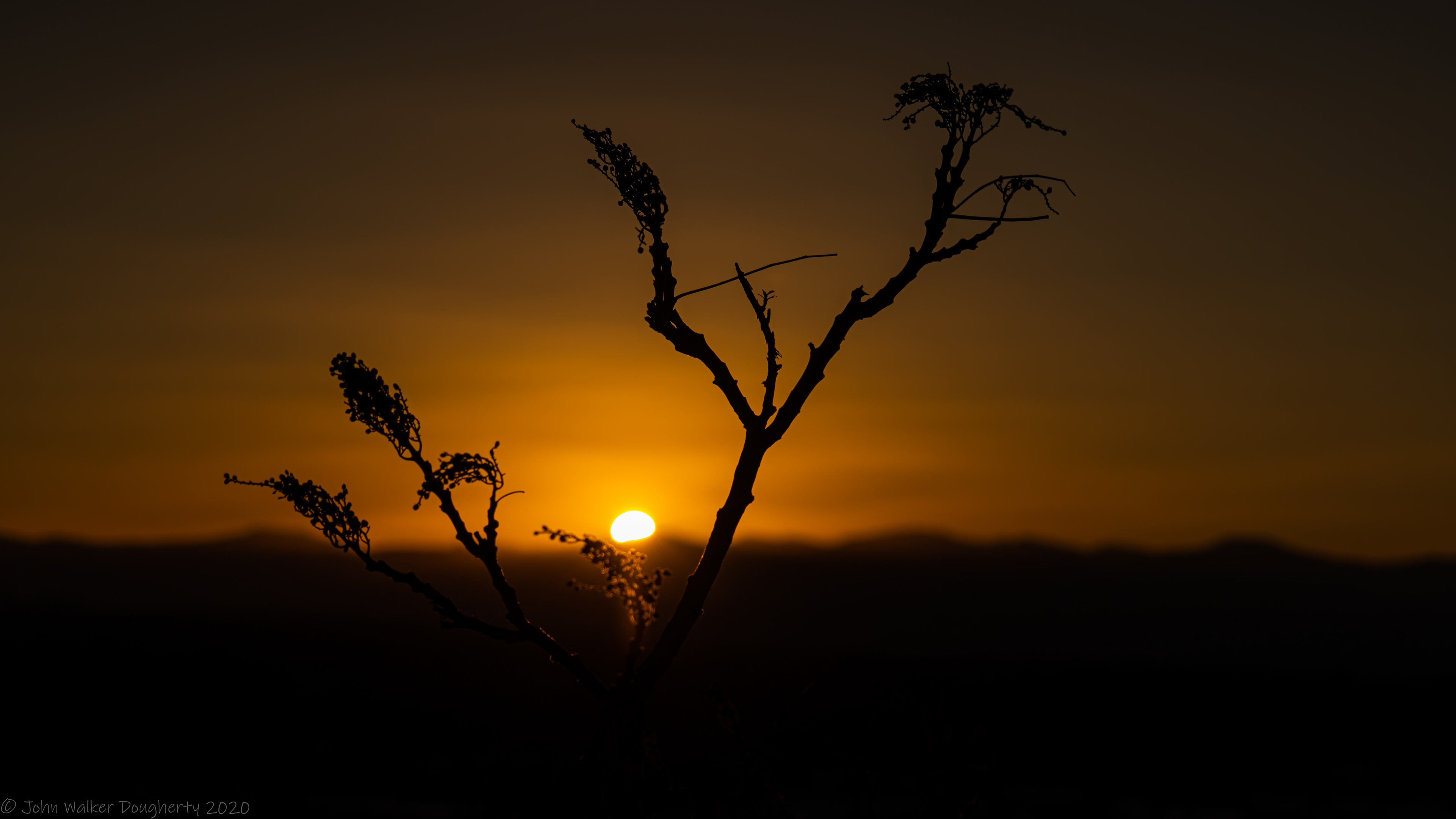 Shot on: Sony A7RIII
