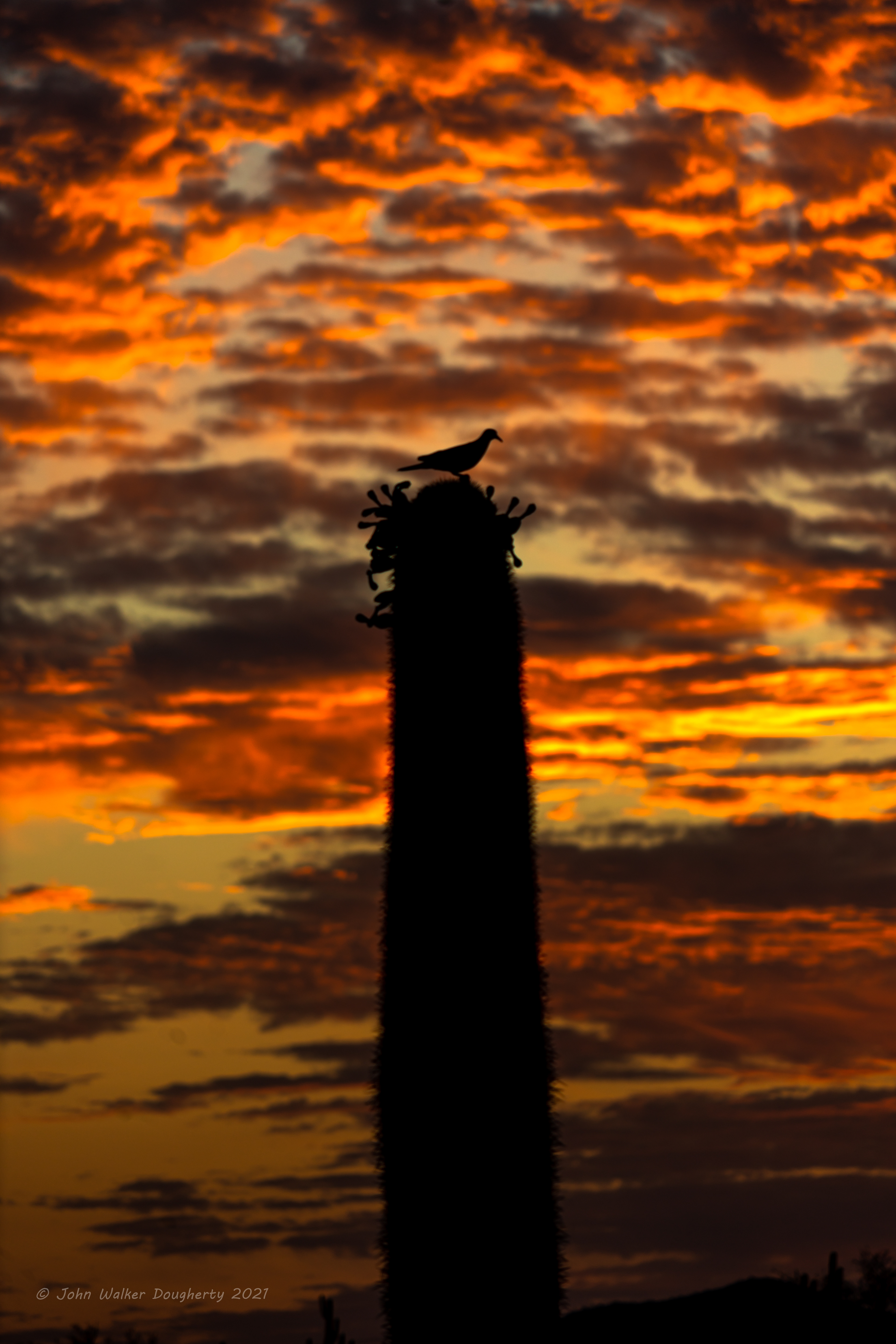 Shot on: Sony A7RIII