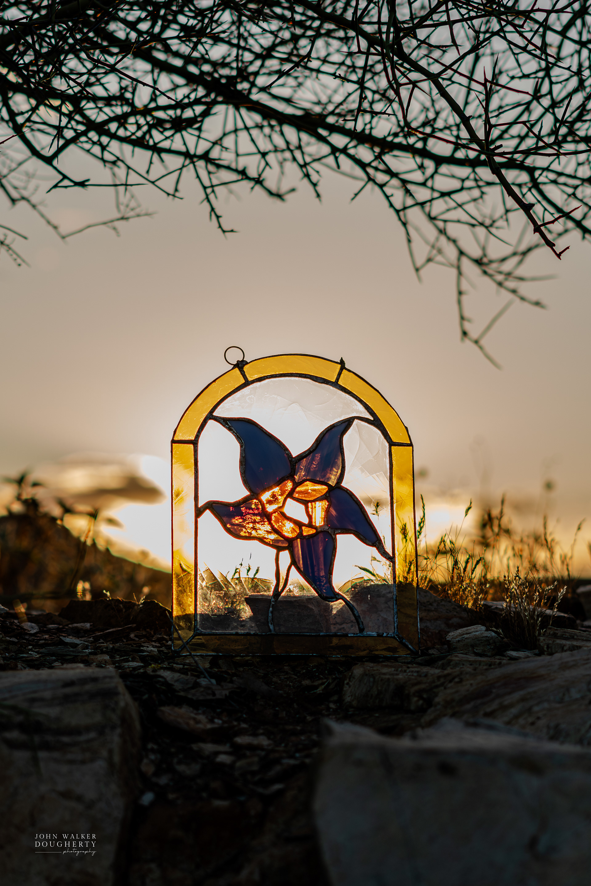 Shot On: Sony A7RIII