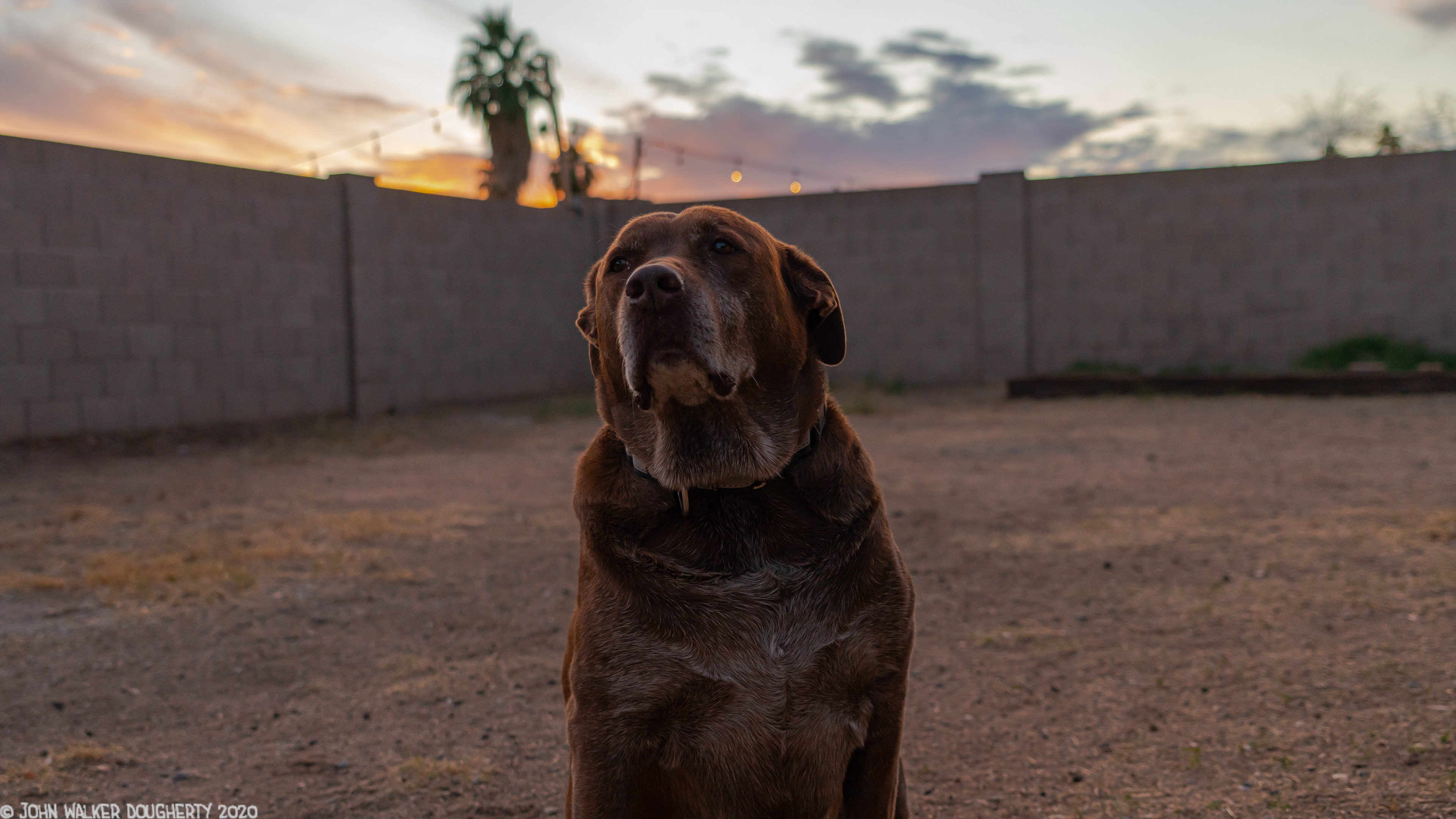 Shot on: Sony A7RIII