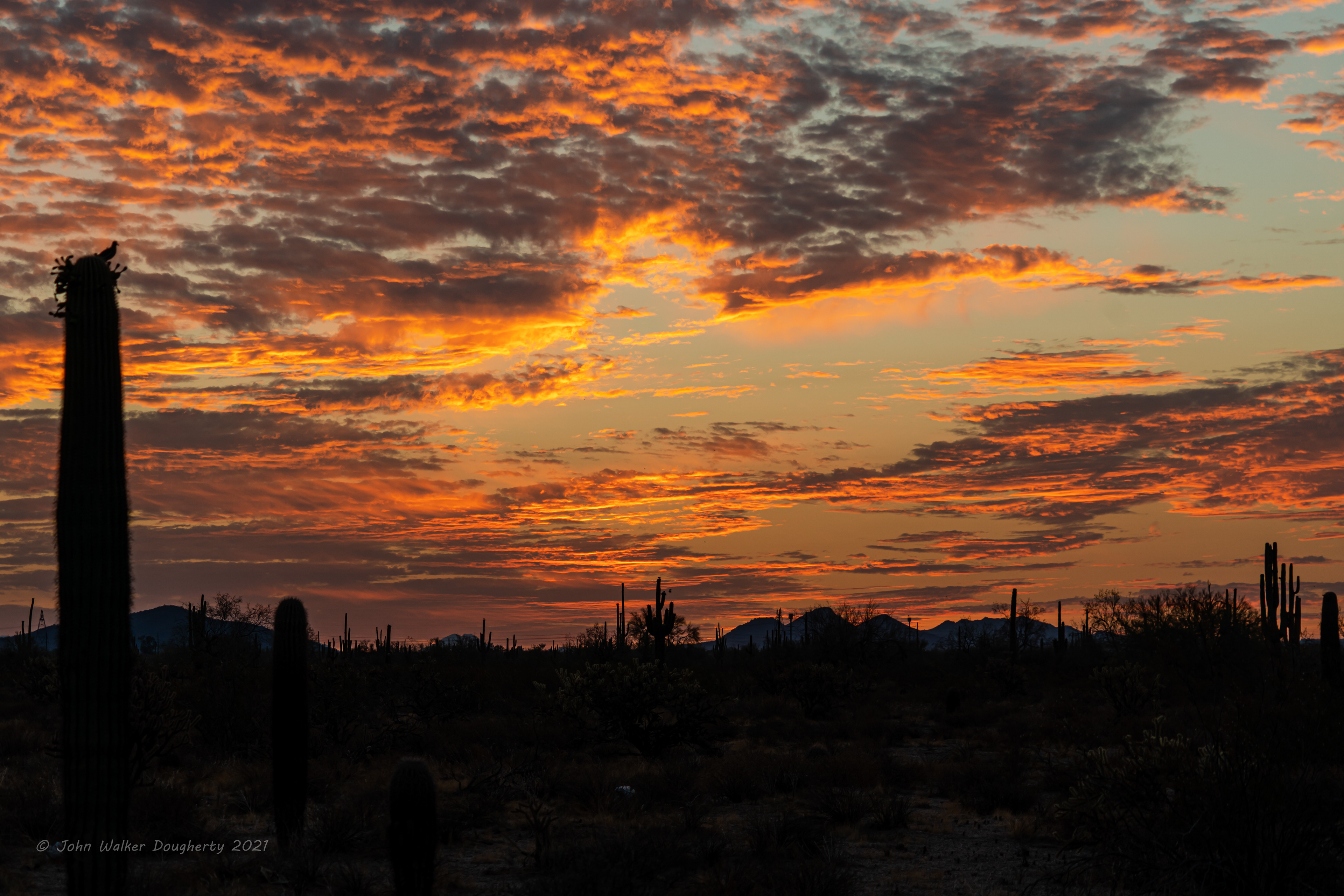 Shot on: Sony A7RIII