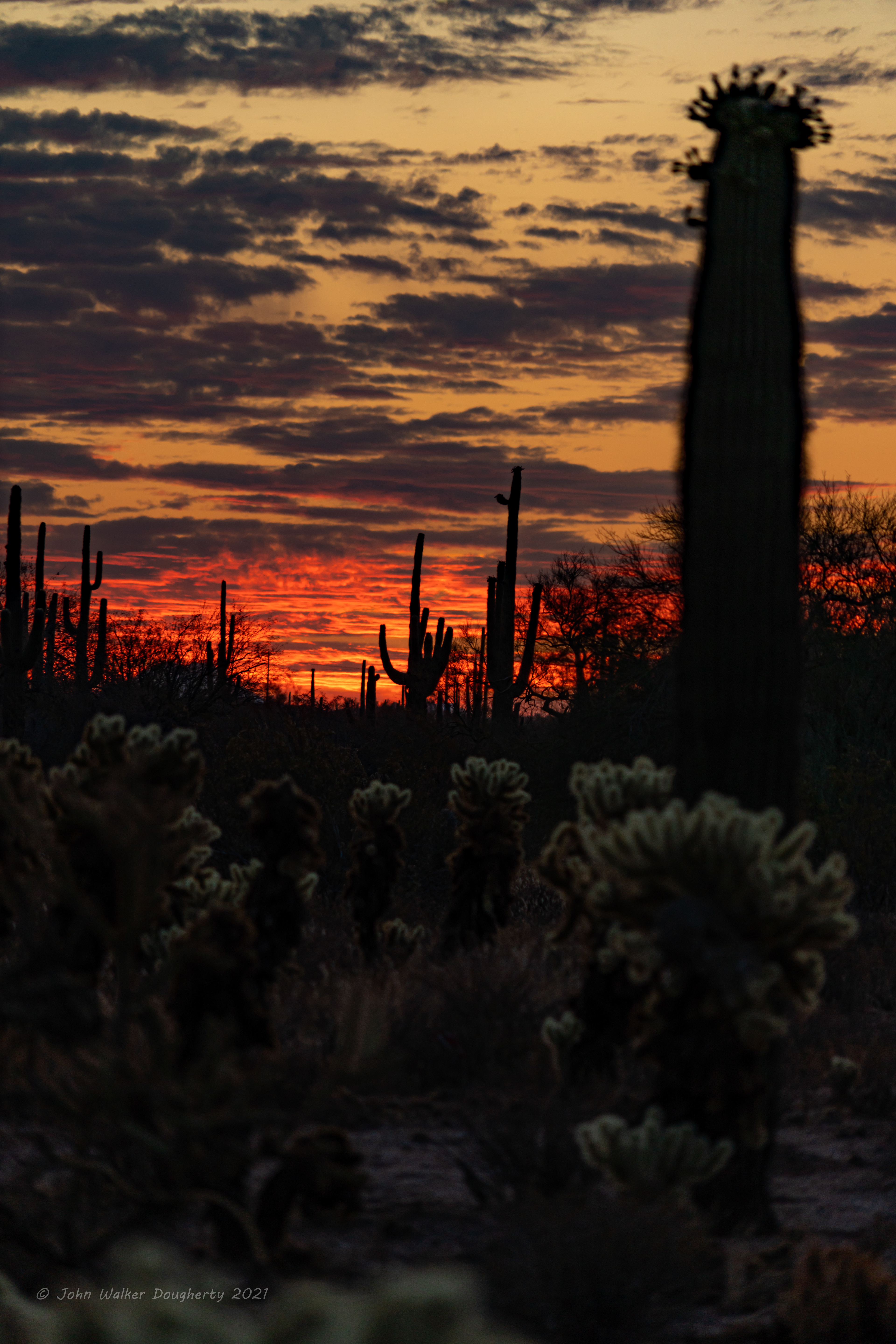 Shot on: Sony A7RIII