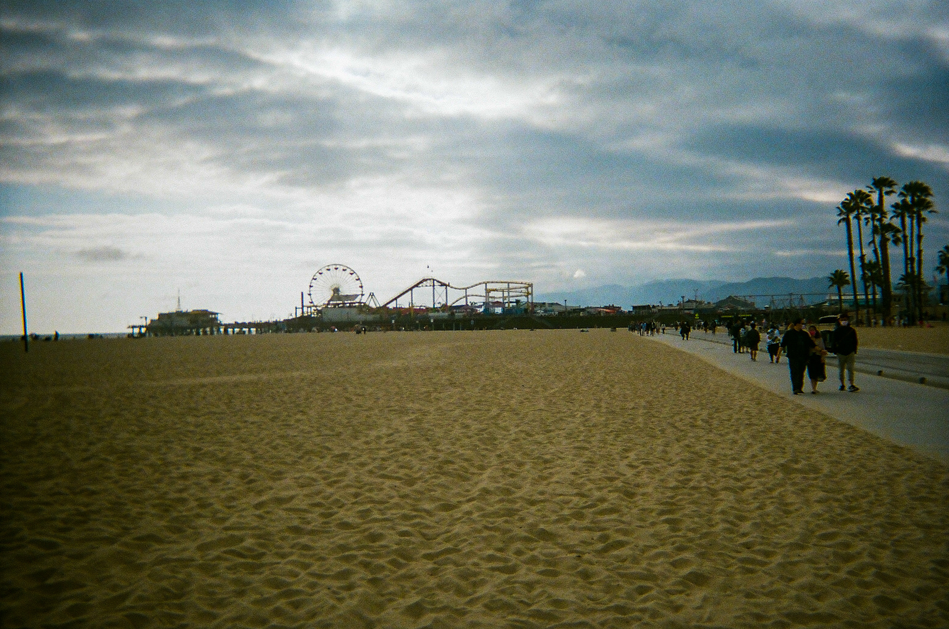 Shot On: Kodak Disposable 