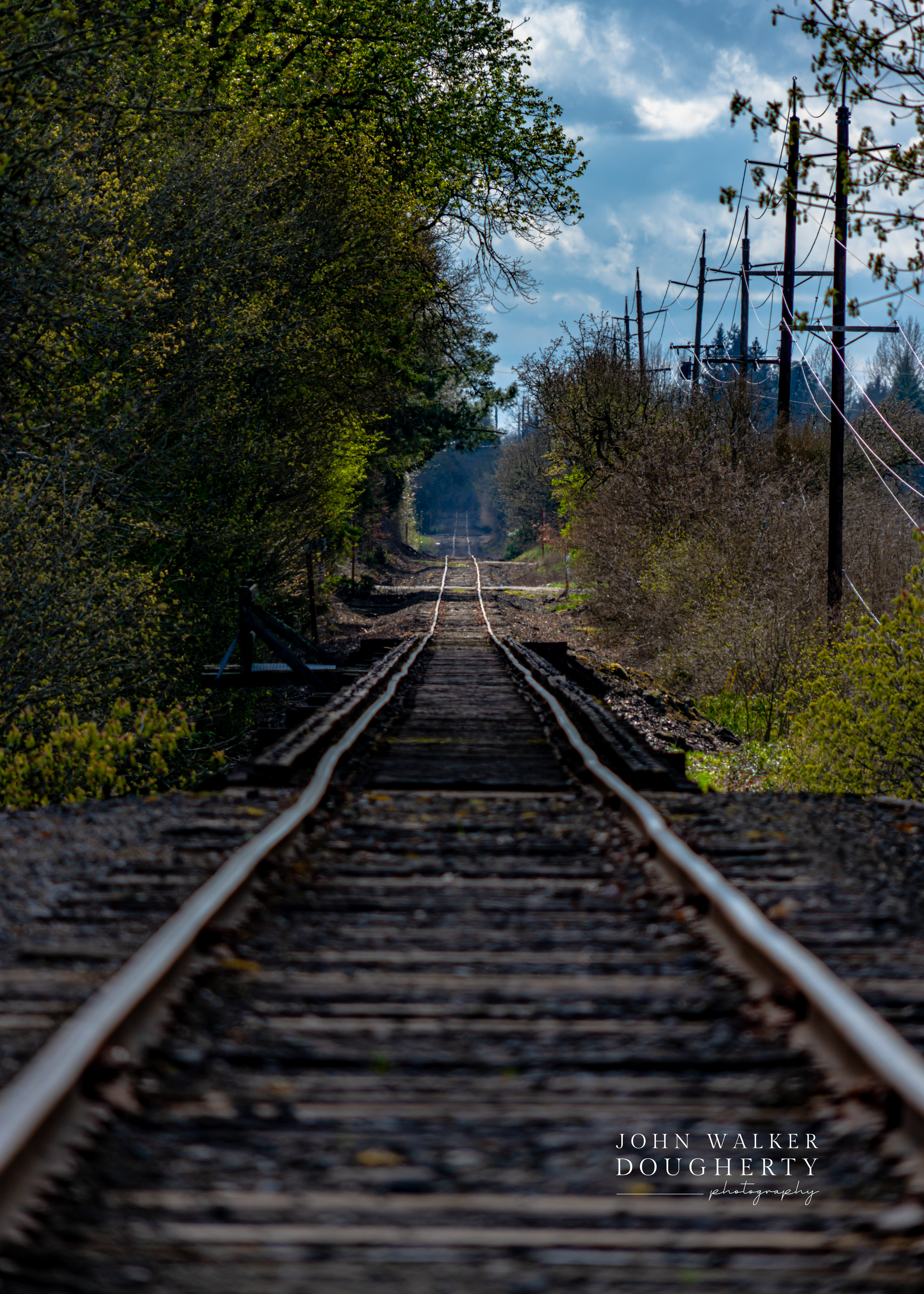 Shot On: Sony A7RIII