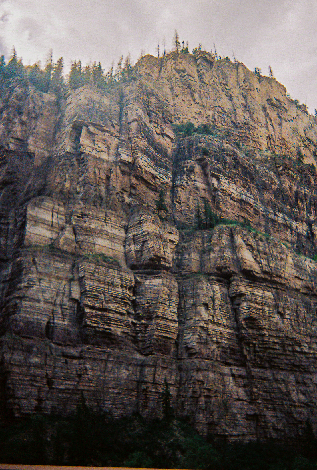 Shot On: Kodak Disposable 