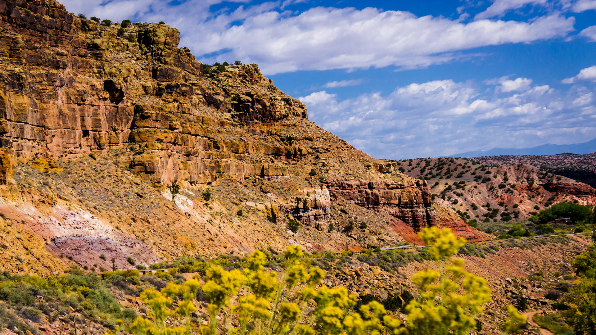 New Mexico