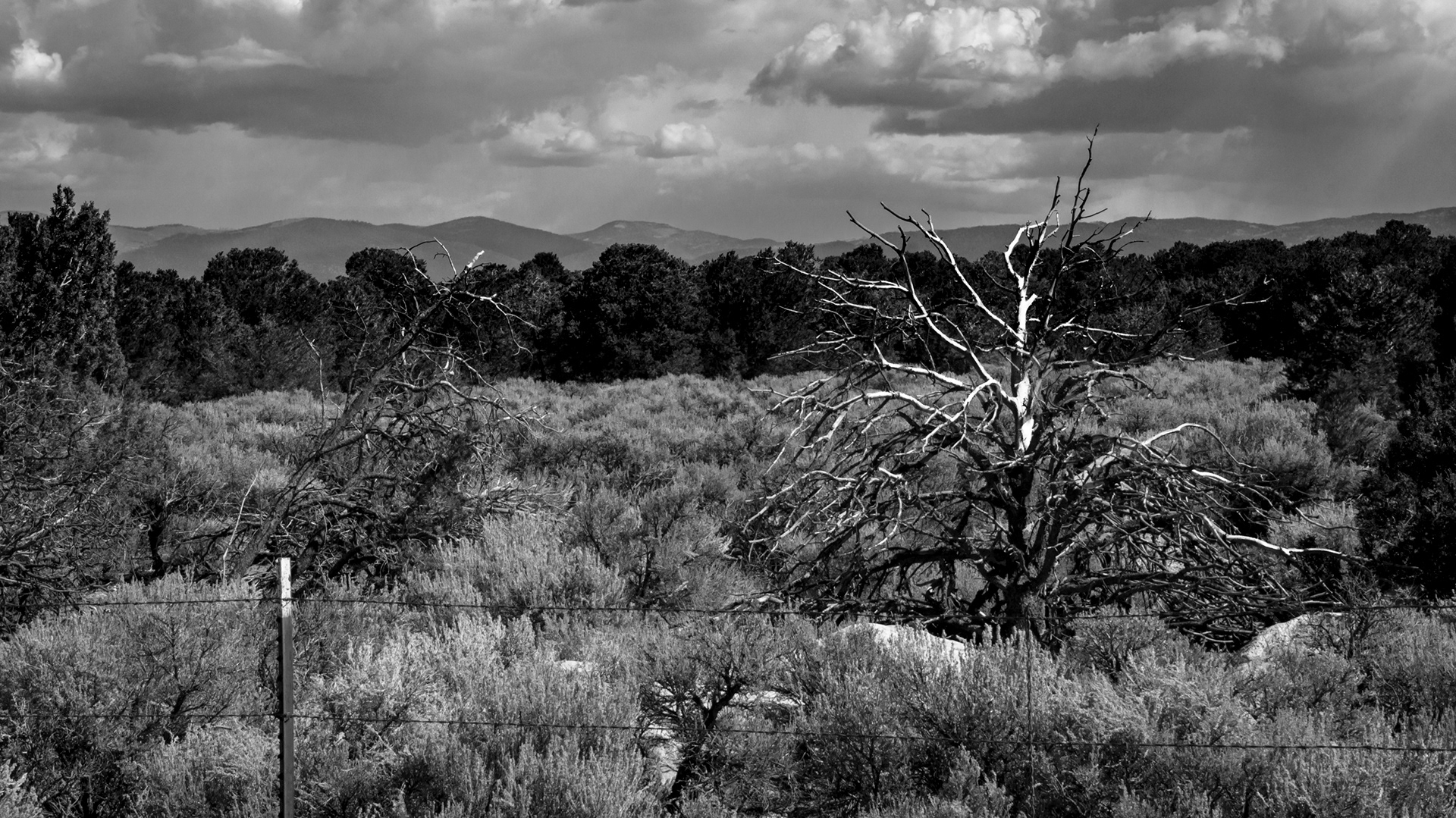 New Mexico