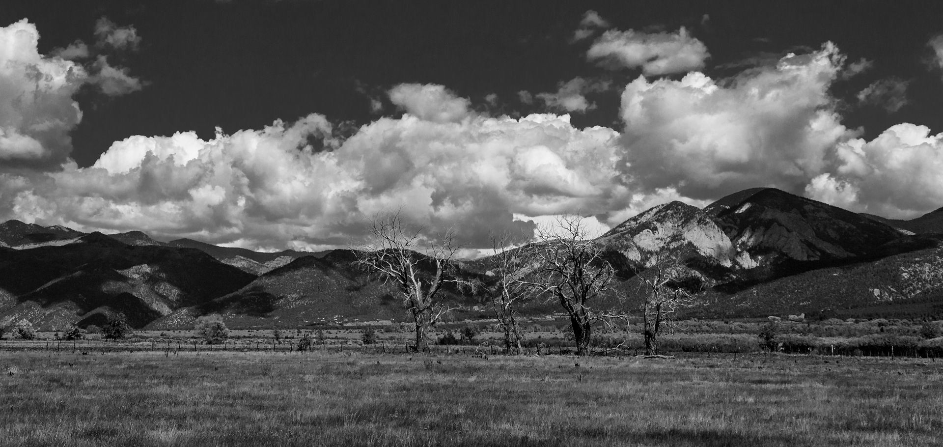 New Mexico