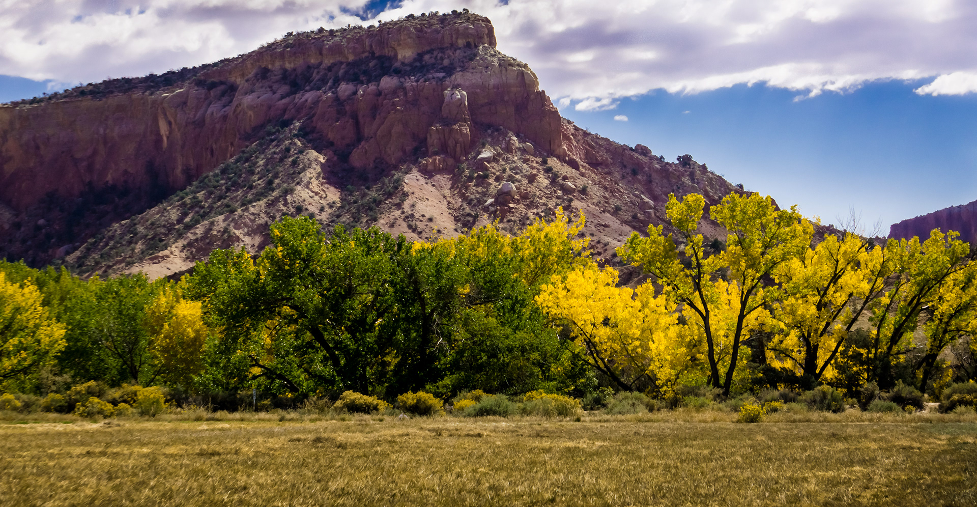 New Mexico