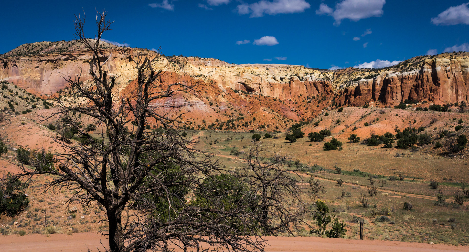 New Mexico