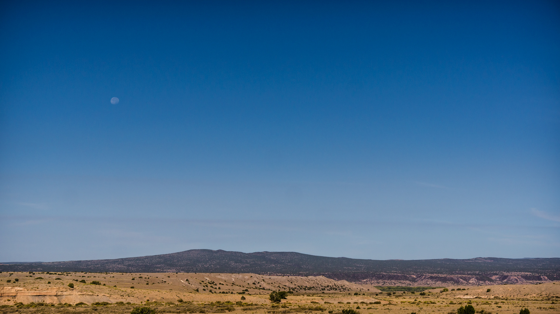 New Mexico