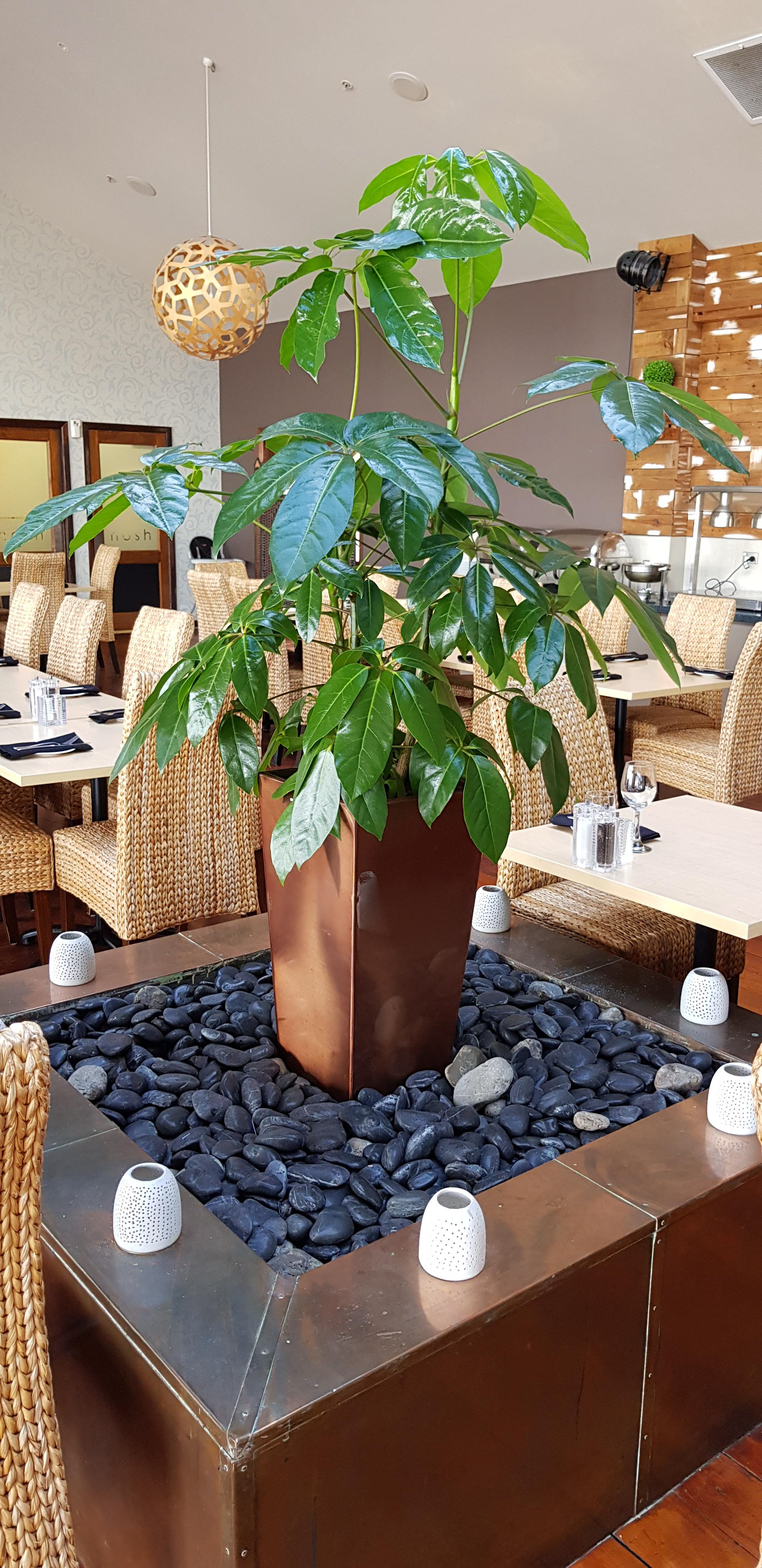Distinction Hotel