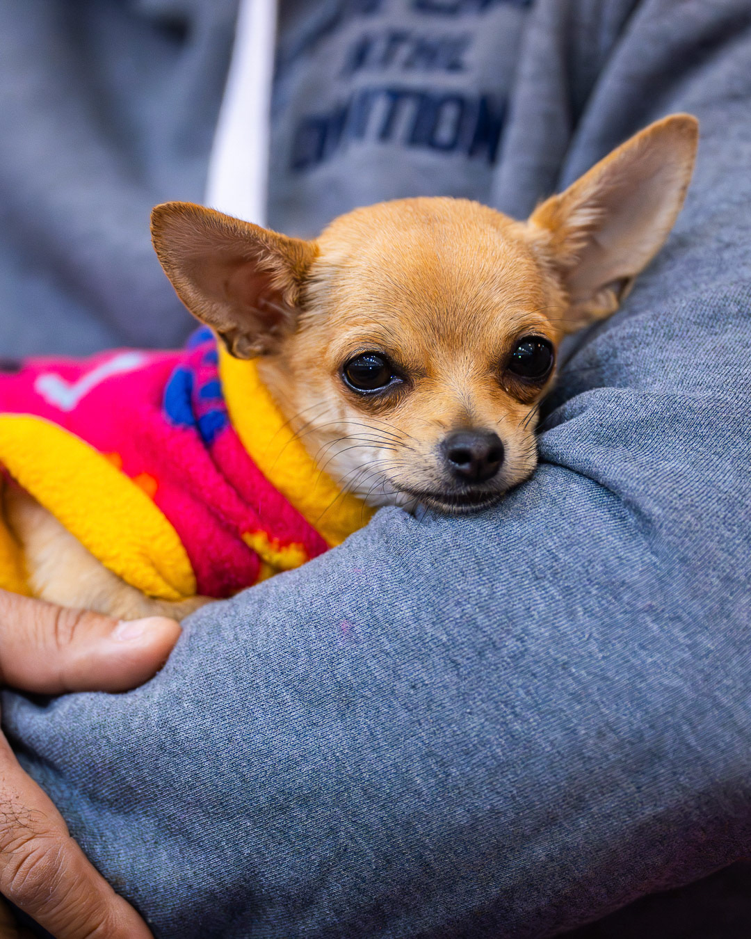 Copa Chile de Ciclismo de Pista 2025• Etapa #1: 15 y 16 de mayo• Etapa #2: 17 y 18 de mayo