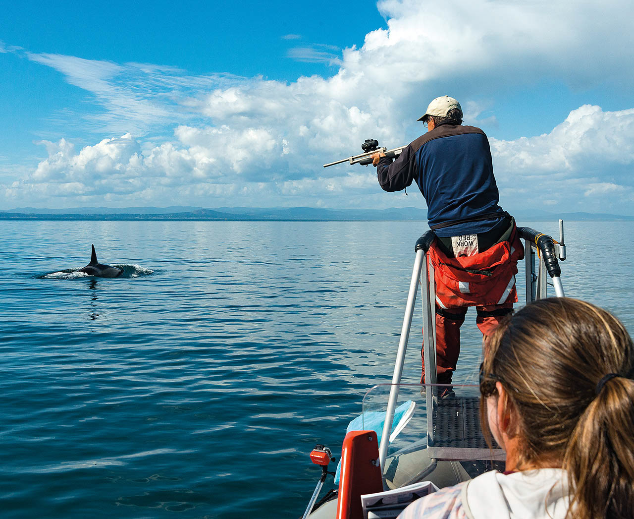 Dr. Brad Hanson humanely darting a killer whale for blubber to analyze its health