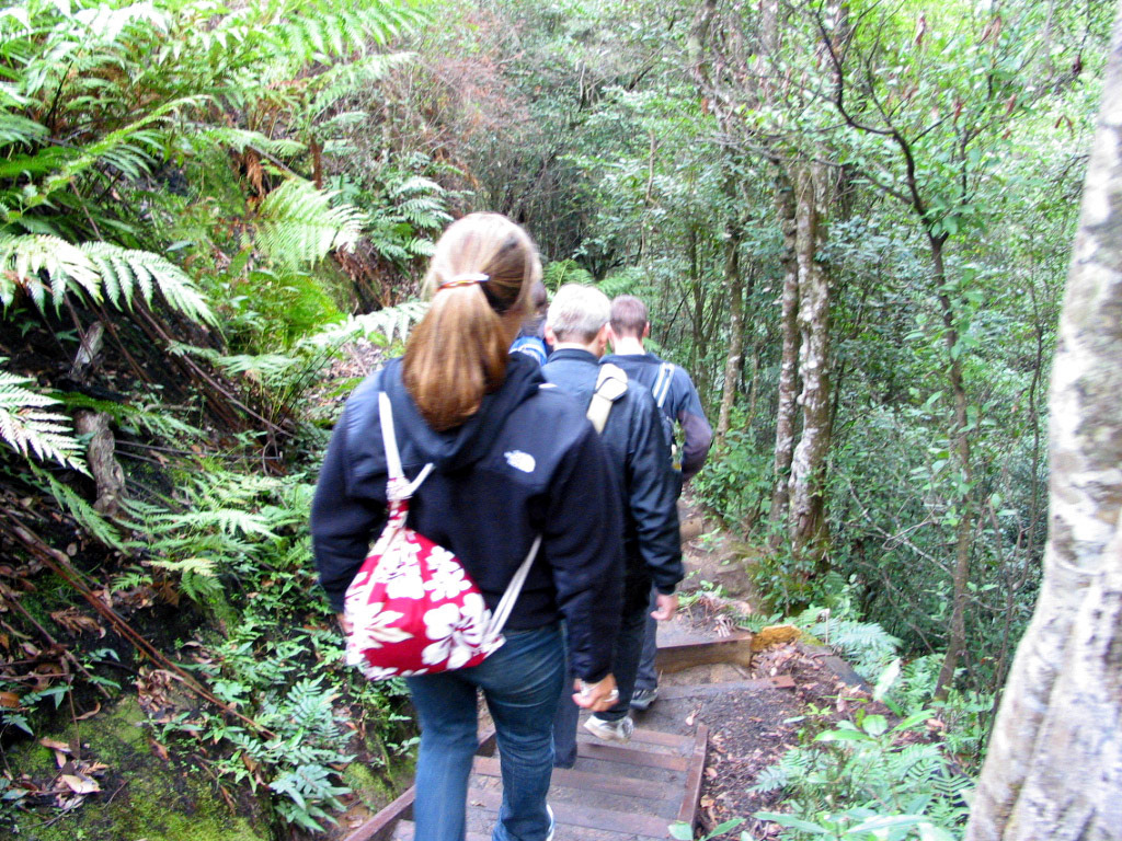 Beginning of our hike in the Blue Mountains