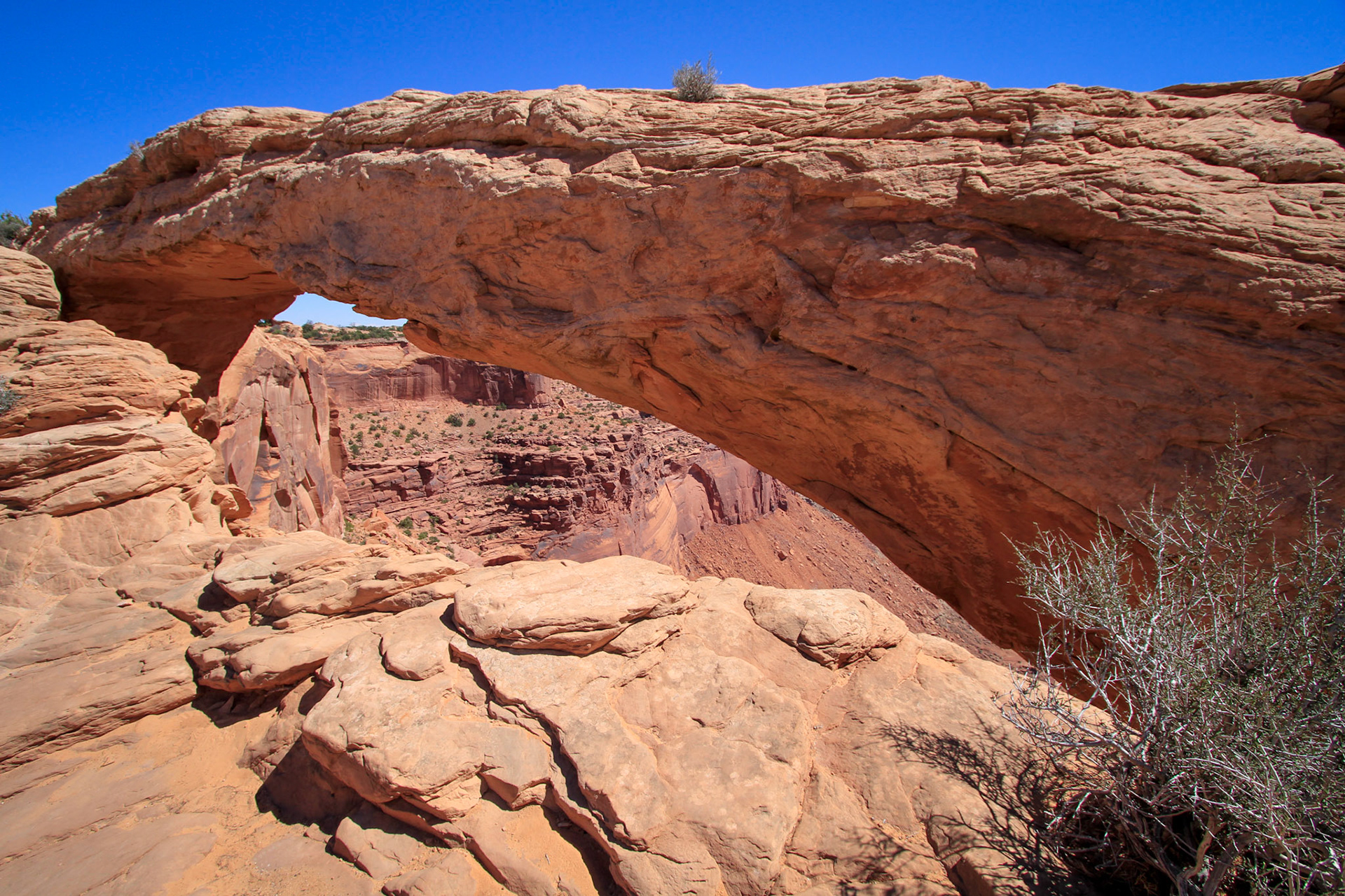Canyonlands National Park, Island In The Sky district