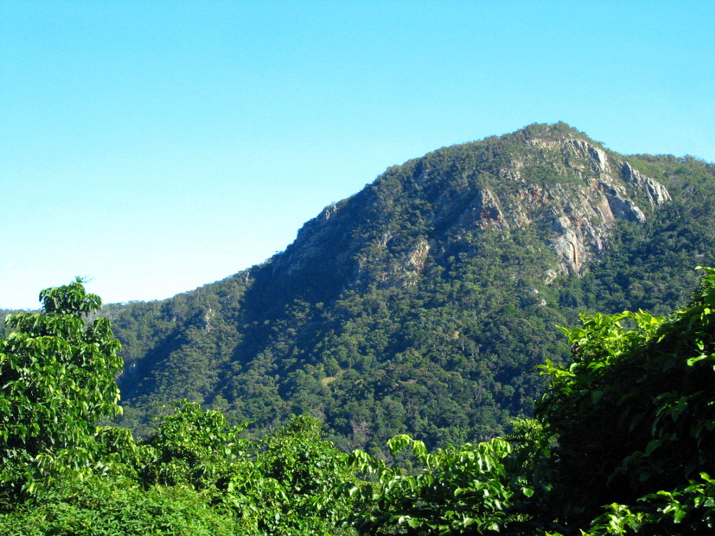 Beautiful mountains in the rainforest
