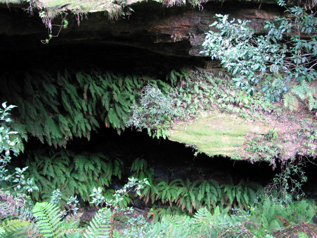 The slot canyon goes incredibly deep