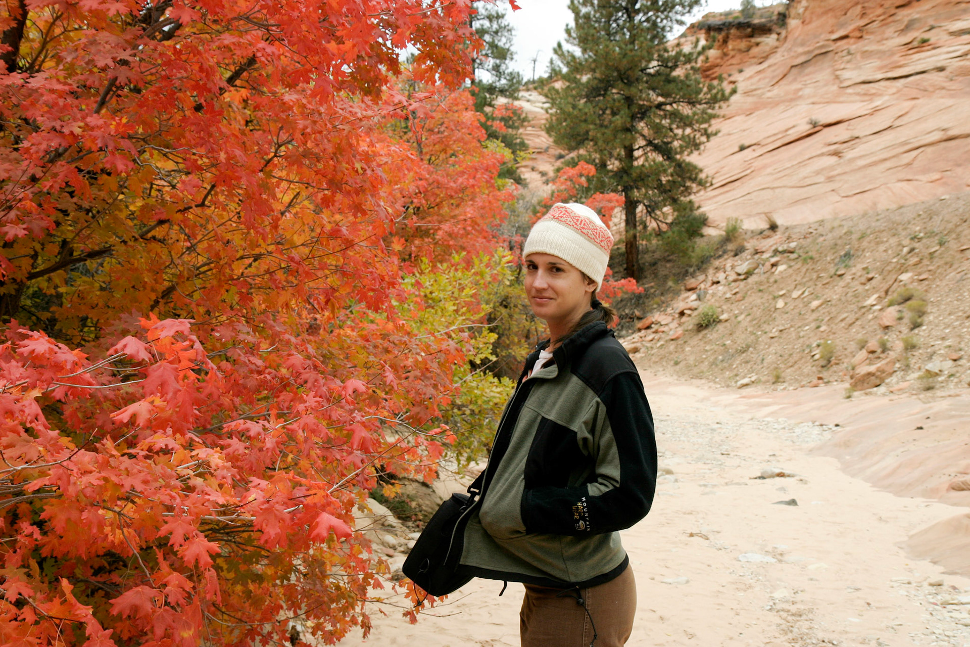 Spectacular Fall foliage