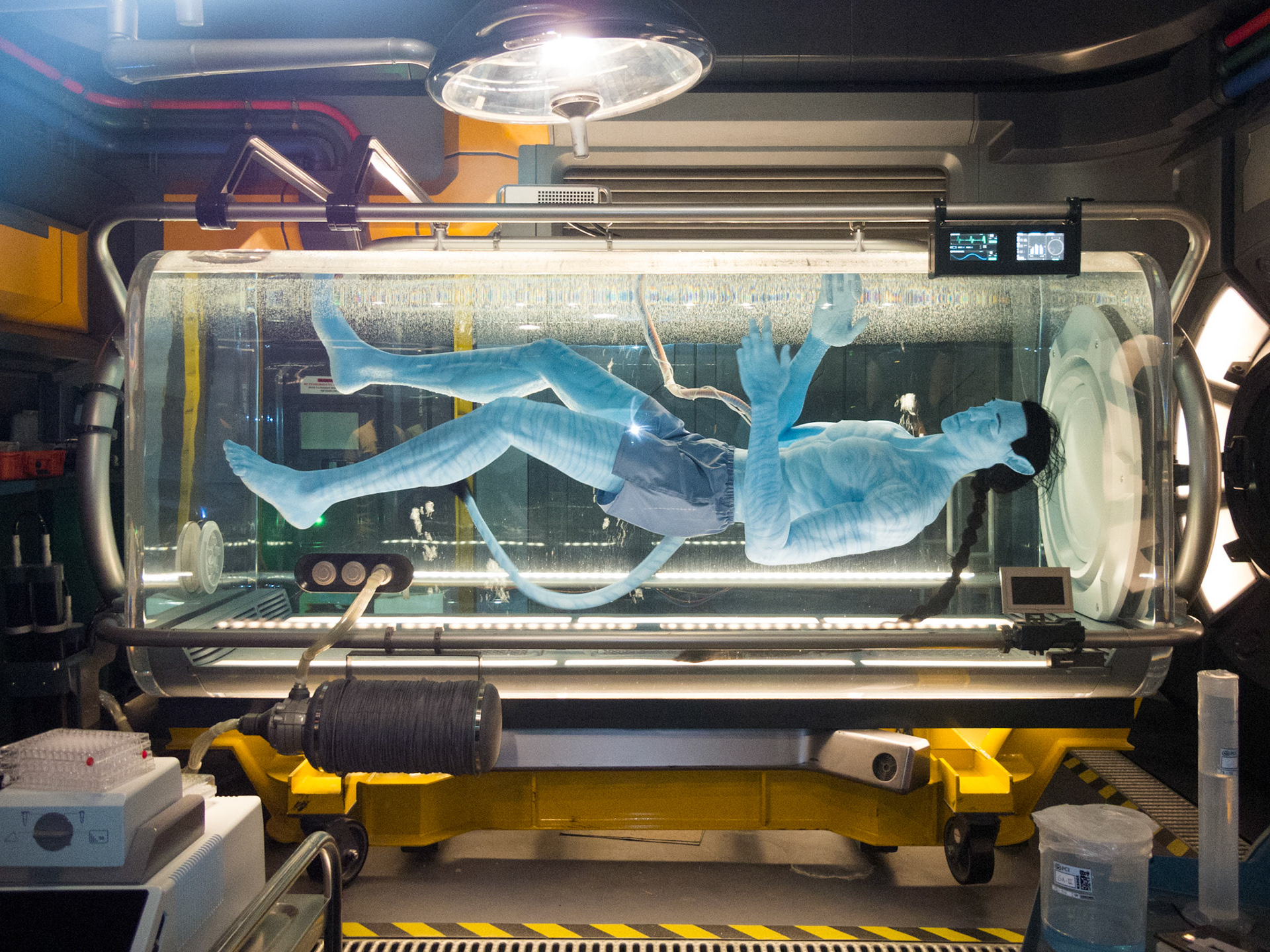 Pandora, Flight of Passage