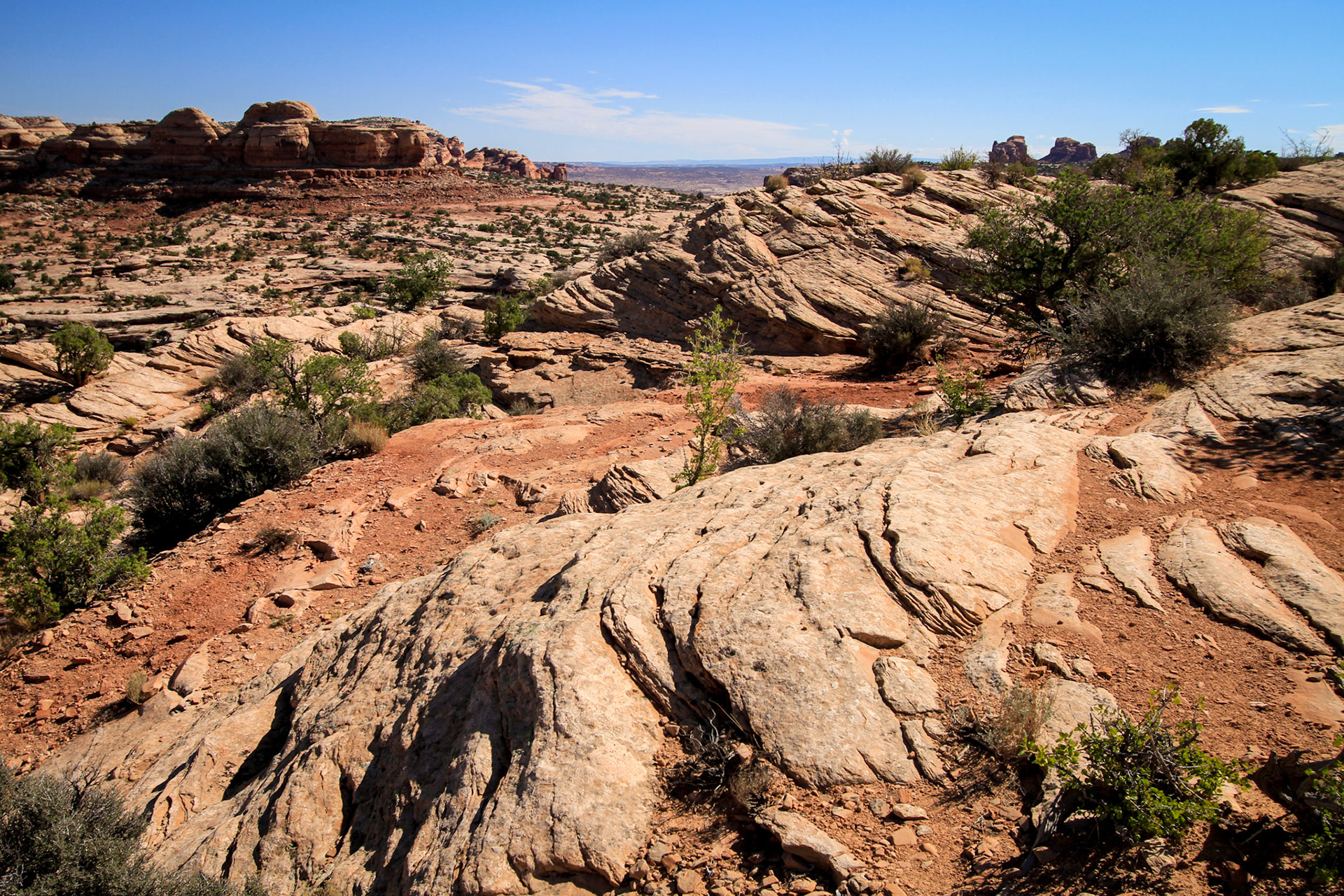 Dead Horse State Park