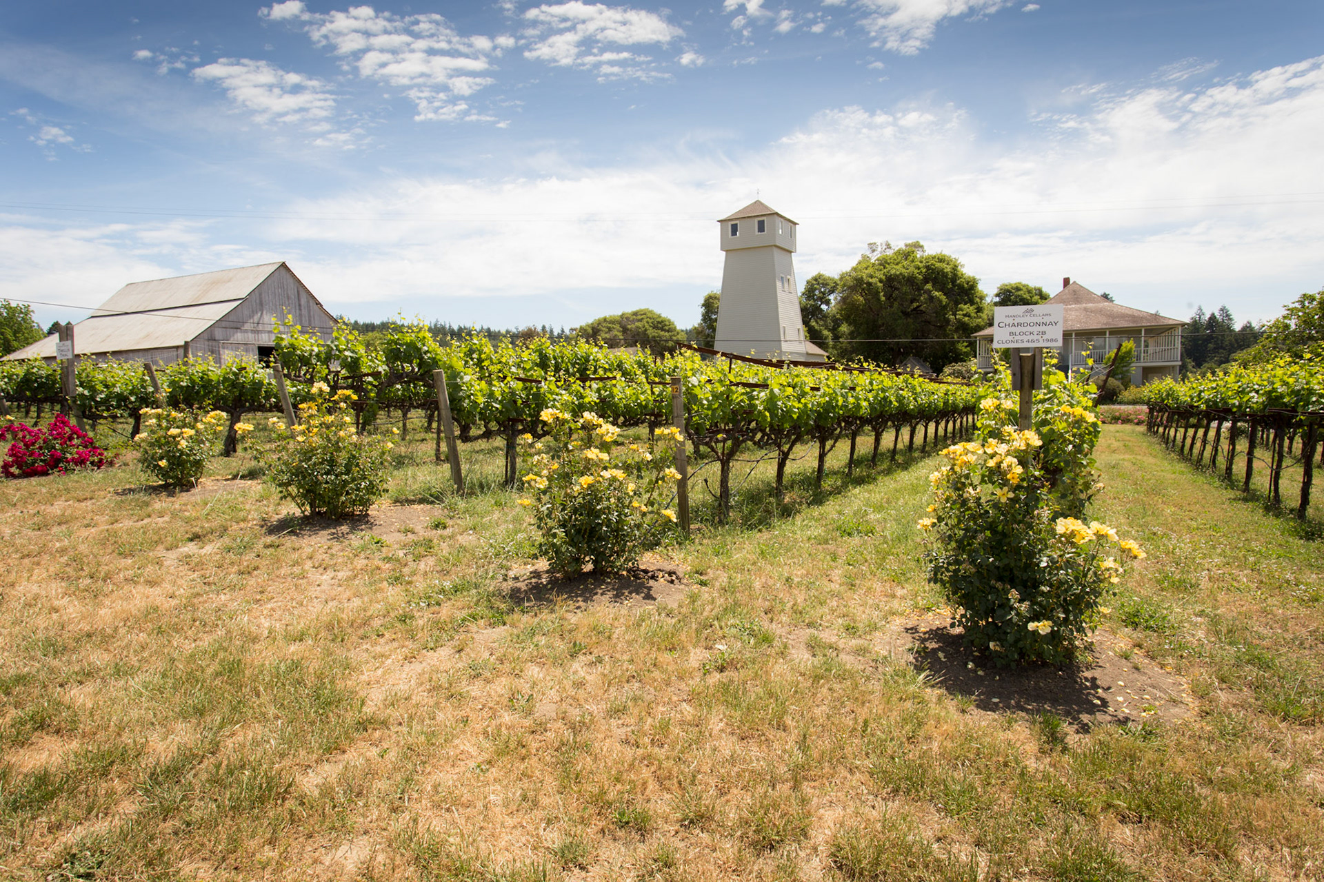 Anderson Valley