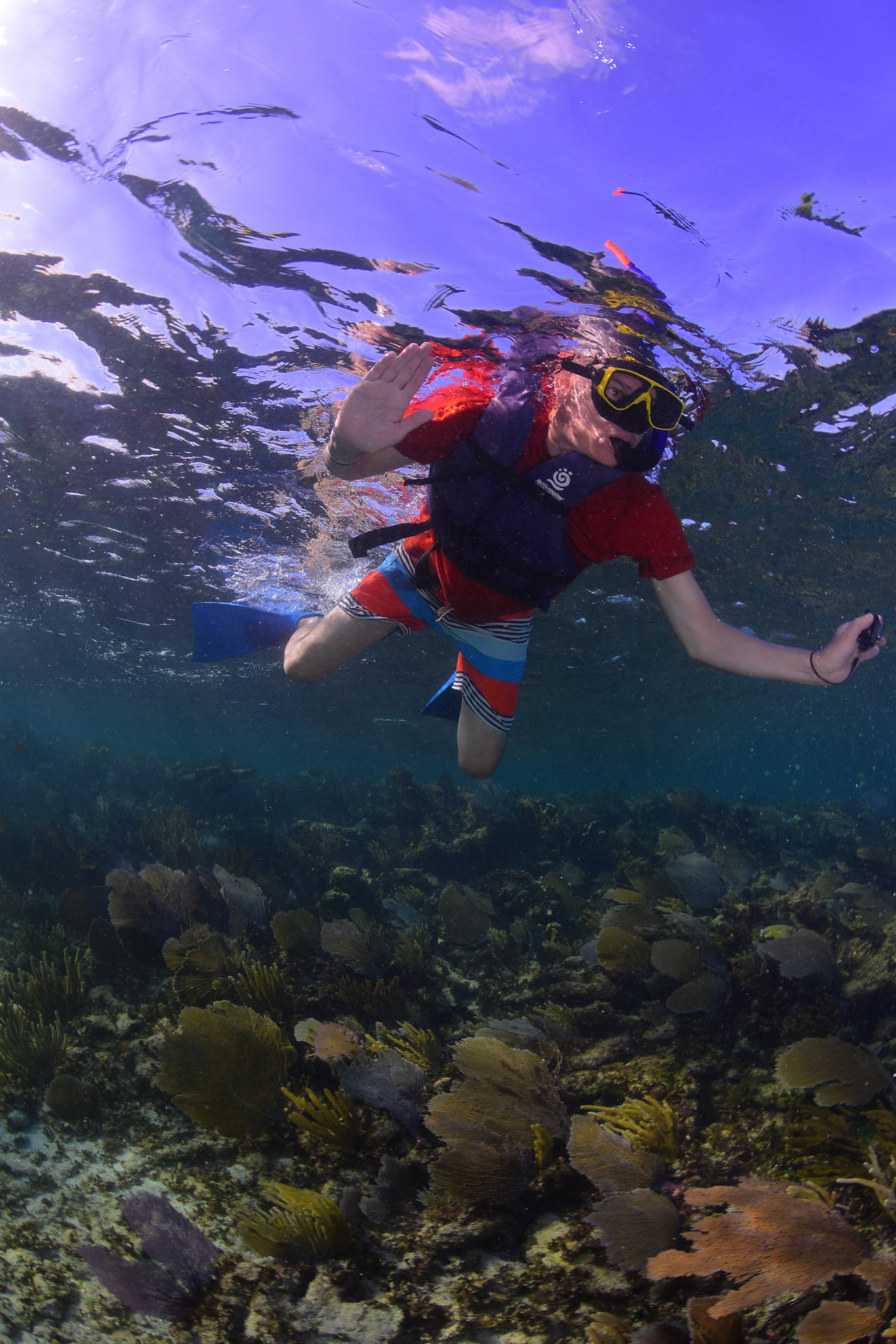 (Photo taken by Alltournative photographer)