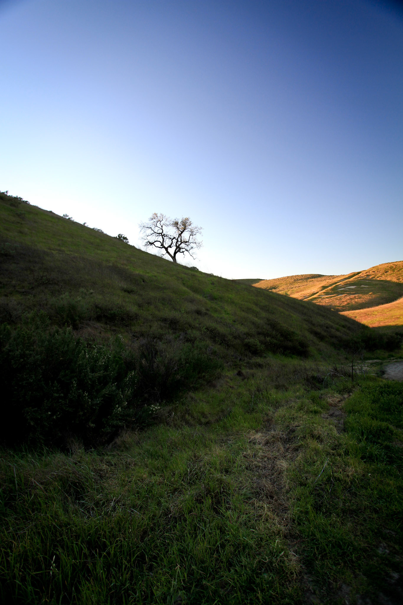 Upper Las Virgenes