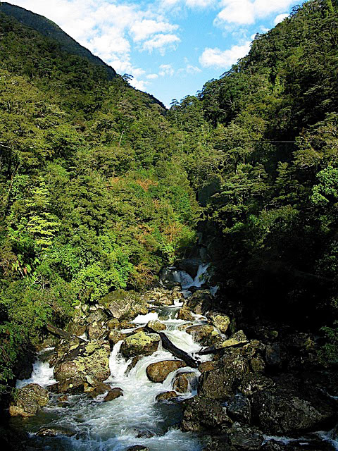 Driving on land to Doubtful Sound