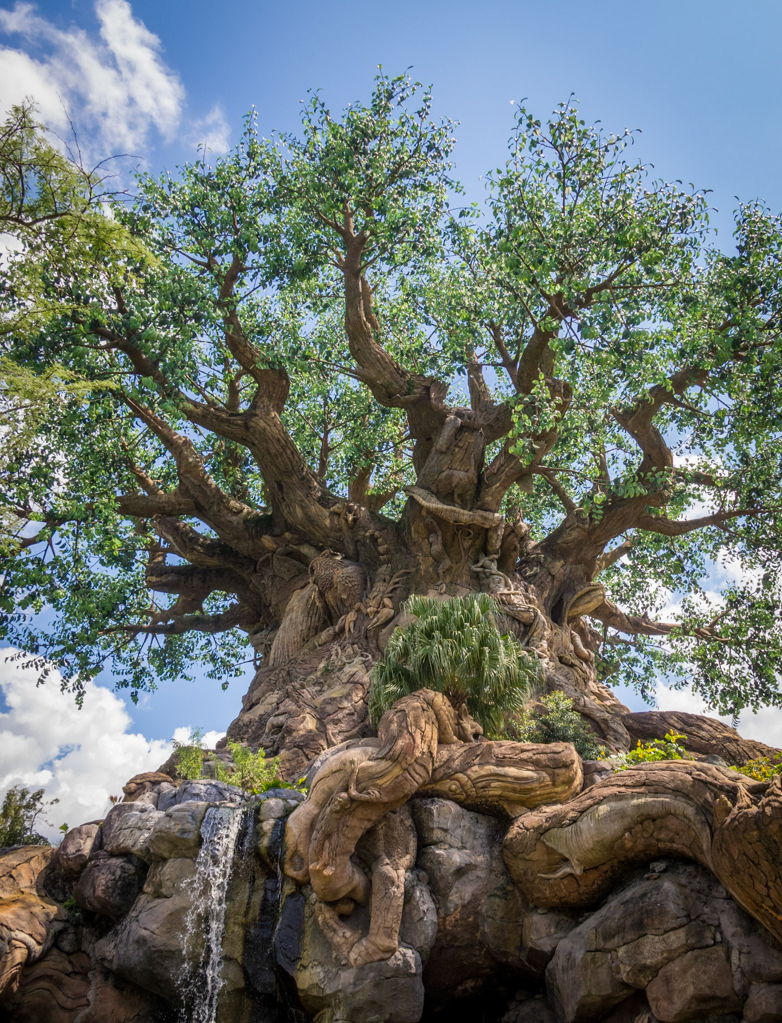 Tree of Life