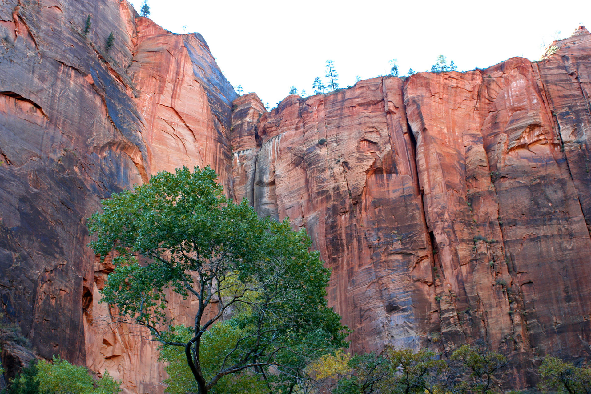 Our hike through the Temple of Sinawava just after we arrived in Zion