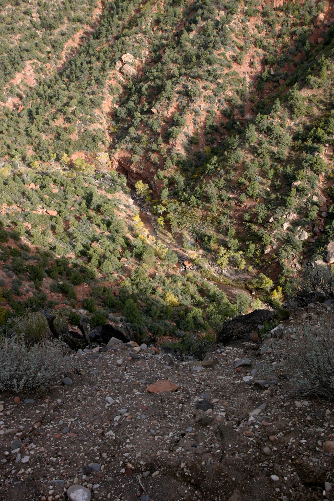 The river at the base of the canyon from which we had just scaled the mountain side