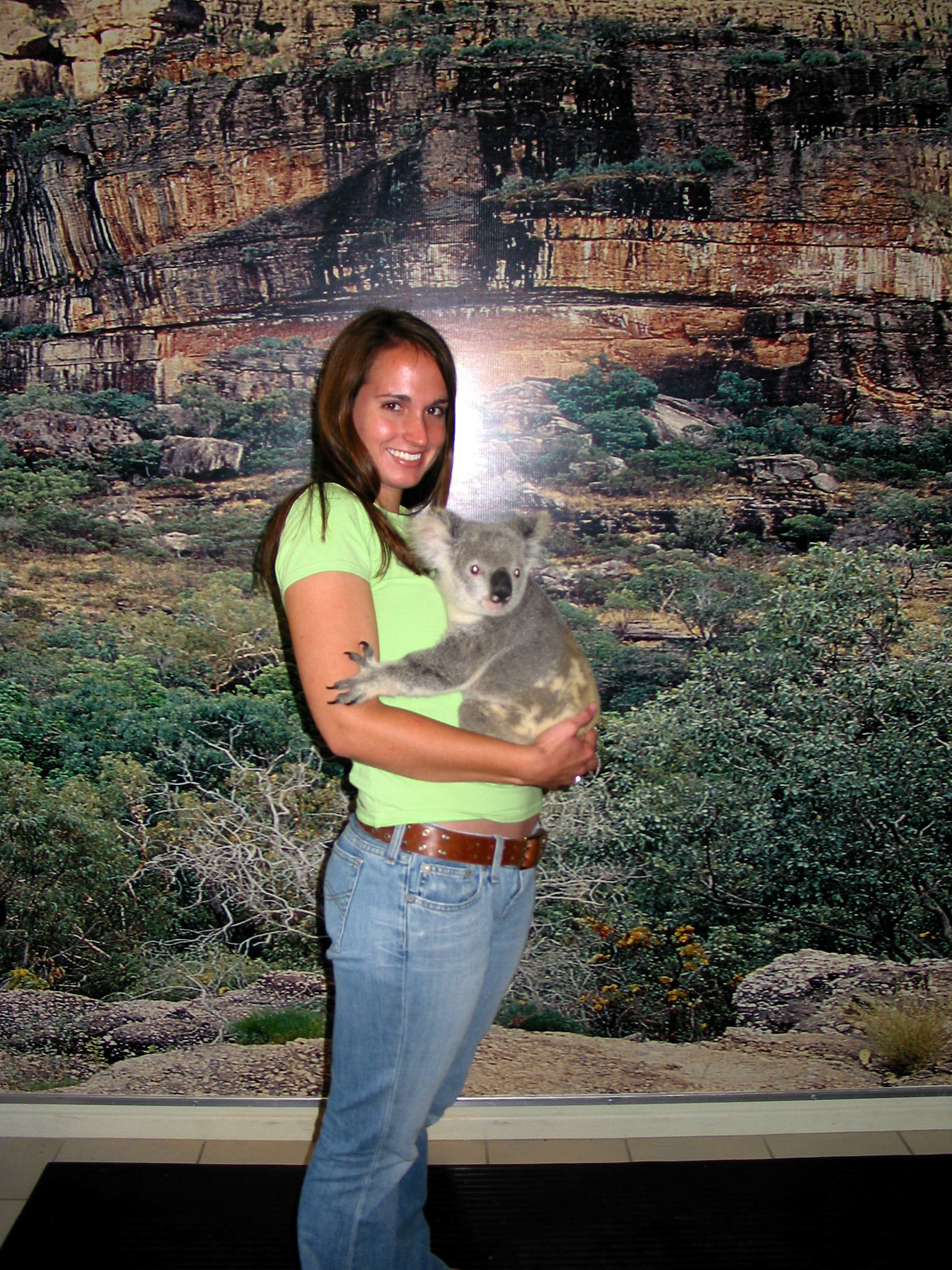 Koala photo shoot